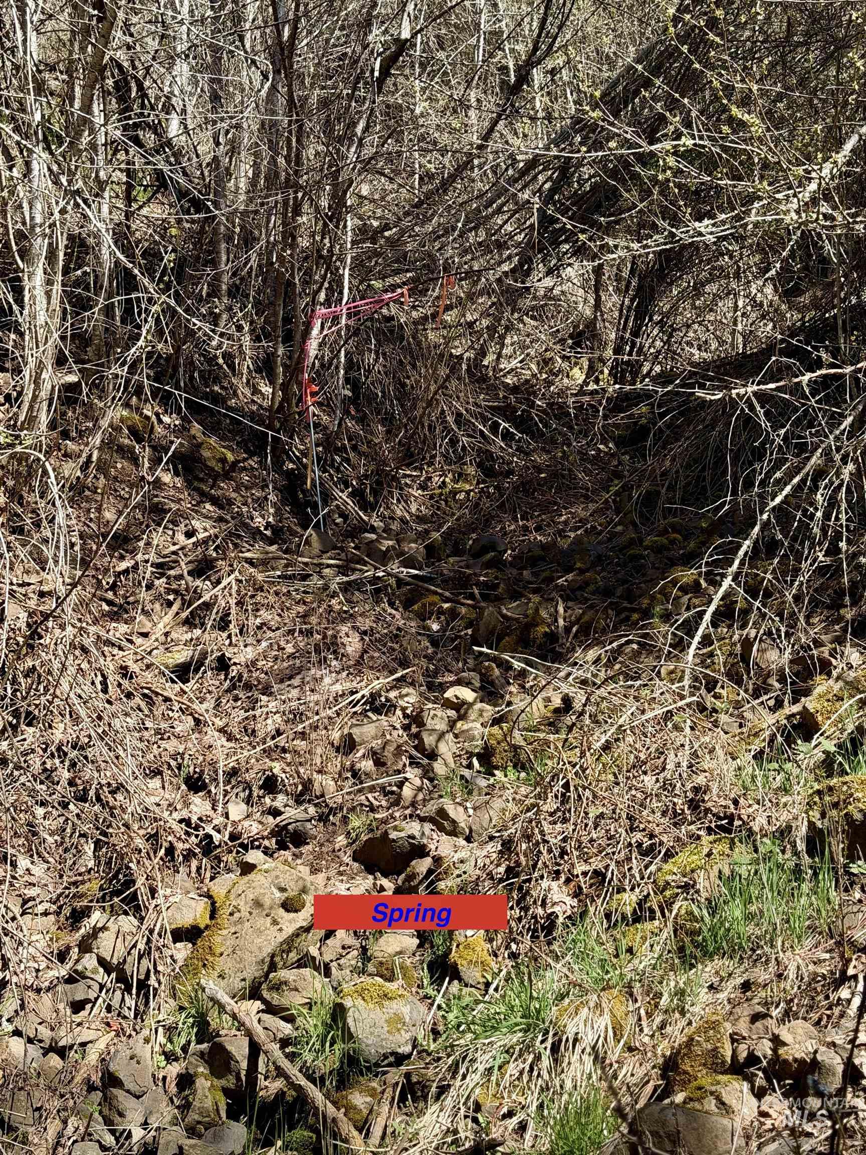 4012 Highway 11, Orofino, Idaho 83544, Land For Sale, Price $265,000, 98981096