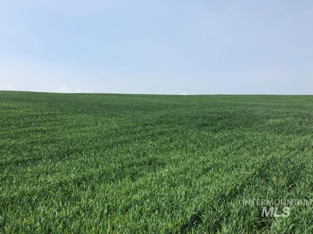 6451 Little Freezeout Rd, Caldwell, Idaho 83607, 7 Bedrooms, 7.5 Bathrooms, Farm & Ranch For Sale, Price $3,599,000,MLS 98981099