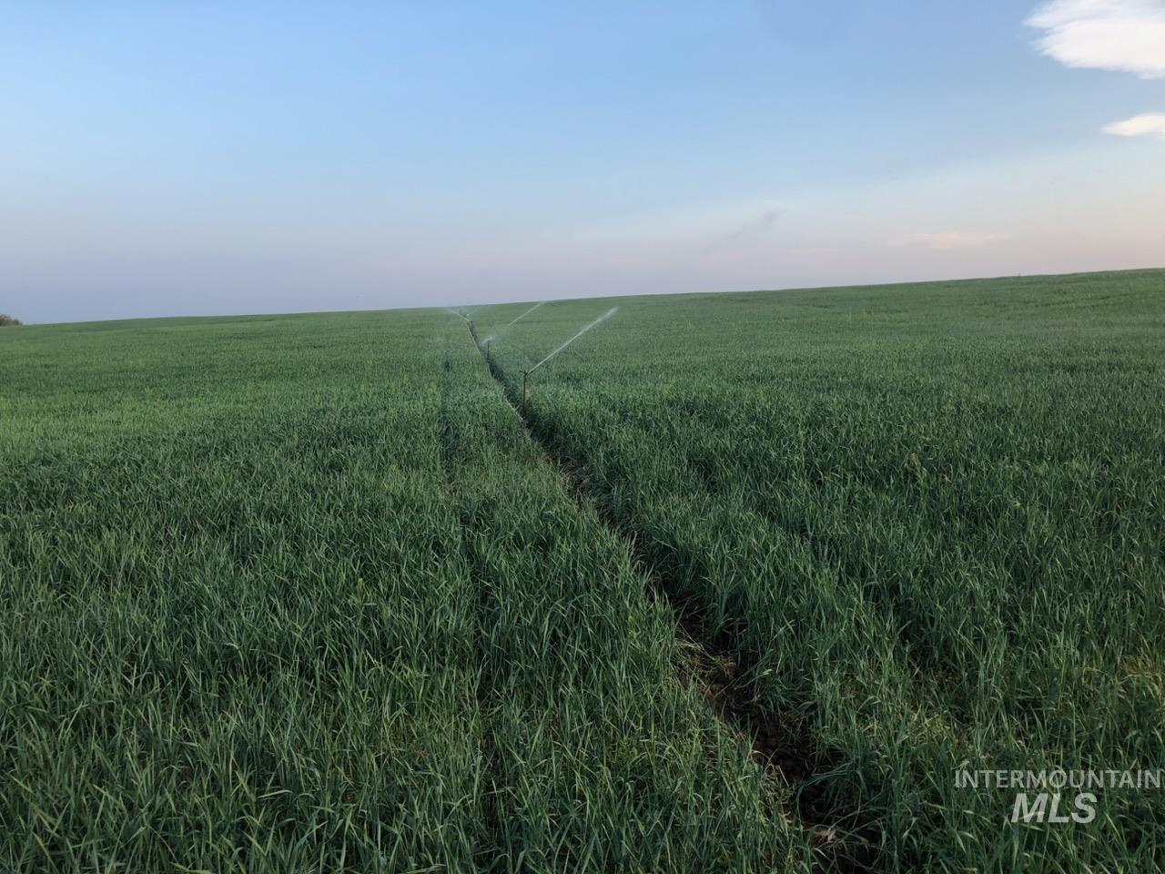 6451 Little Freezeout Rd, Caldwell, Idaho 83607, 7 Bedrooms, 7.5 Bathrooms, Farm & Ranch For Sale, Price $3,599,000,MLS 98981099