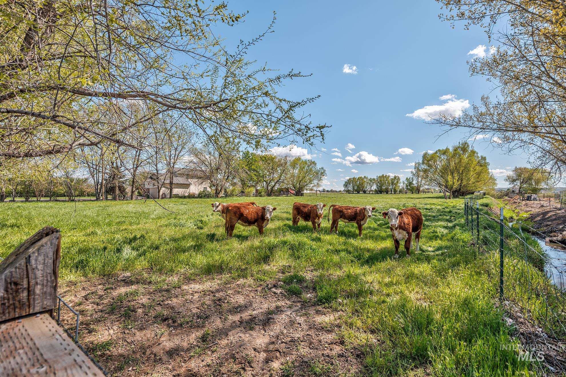 3625 NW 1st Ave, New Plymouth, Idaho 83655, 4 Bedrooms, 3 Bathrooms, Residential For Sale, Price $670,000, 98981108