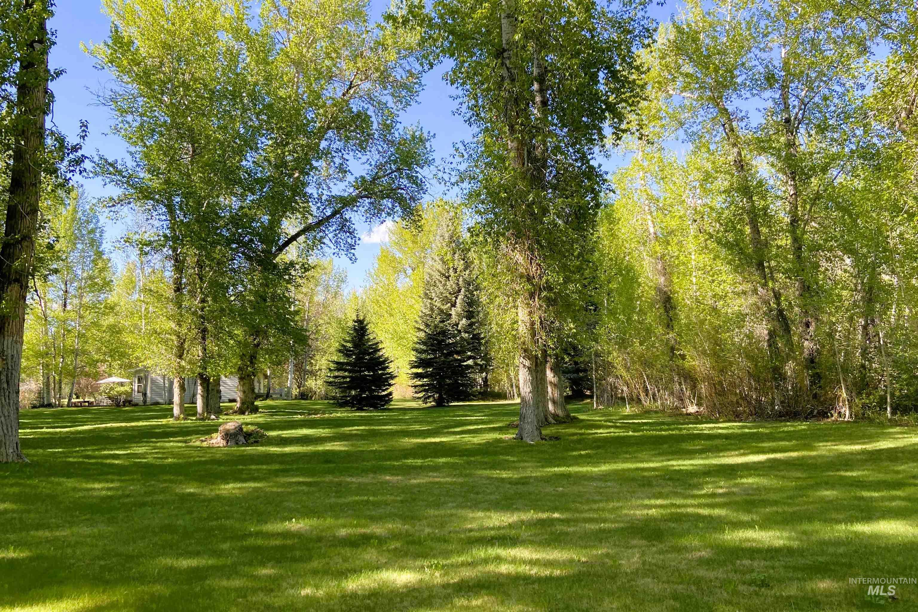 100 & 200 Trout Lane, Bellevue, Idaho 83313, 2 Bedrooms, 2 Bathrooms, Residential For Sale, Price $1,950,000, 98981117