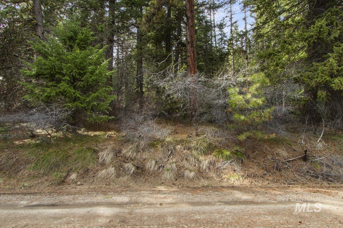 30 Burnt Wagon Trail, Donnelly, Idaho 83615, Land For Sale, Price $150,000, 98981128