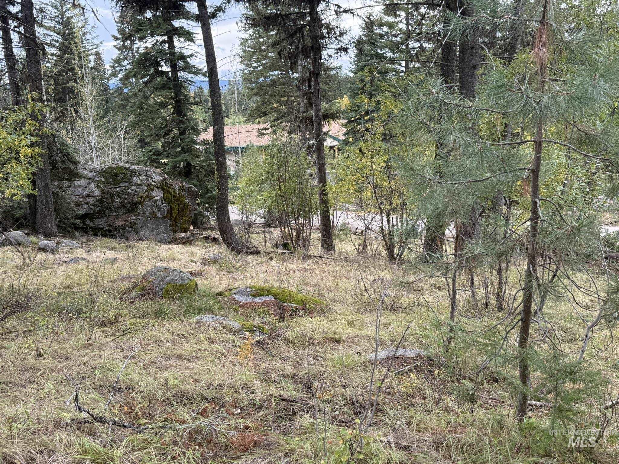 1365 Majestic View Dr, McCall, Idaho 83638, Land For Sale, Price $250,000, 98981162