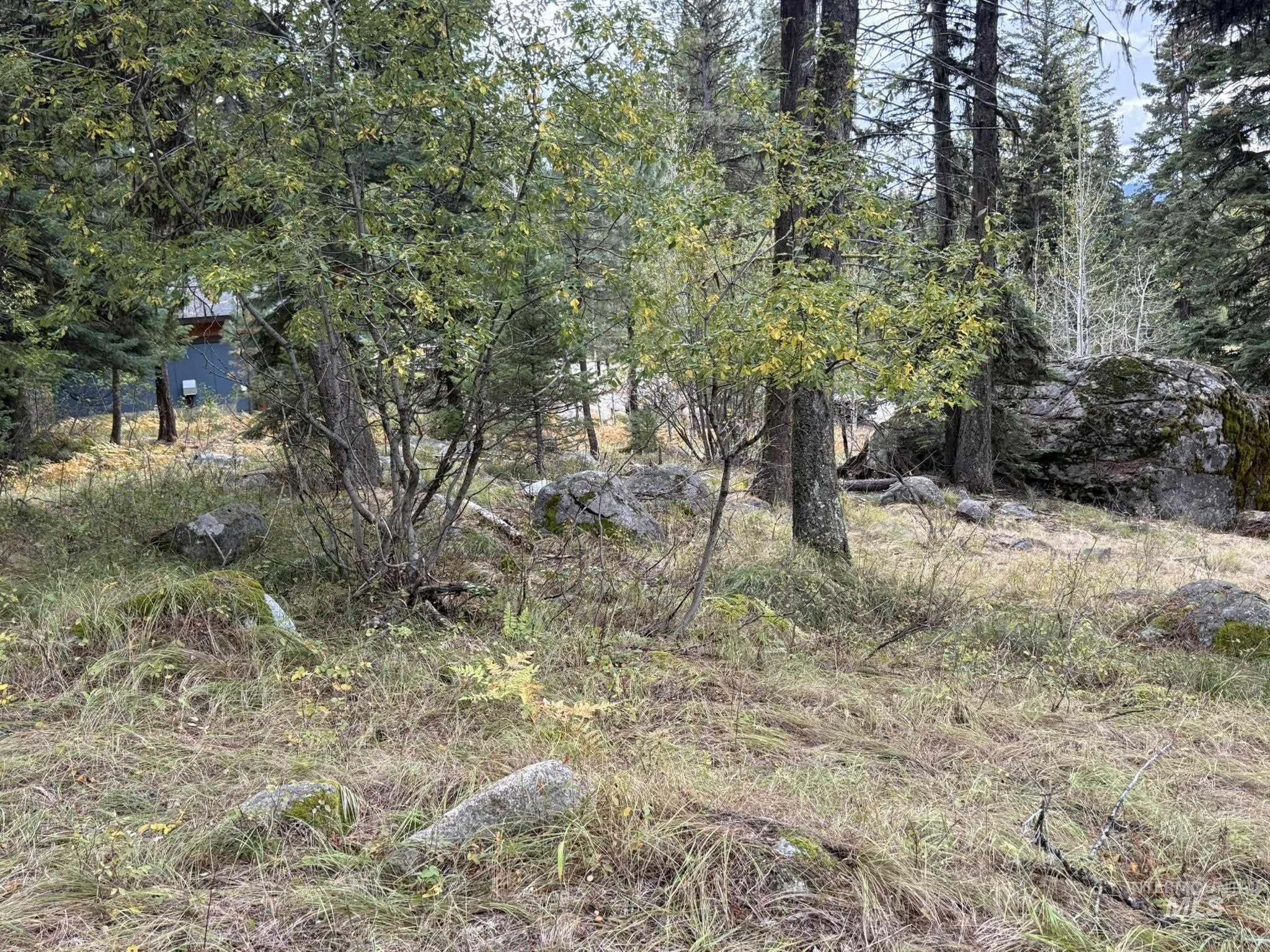 1365 Majestic View Dr, McCall, Idaho 83638, Land For Sale, Price $250,000, 98981162
