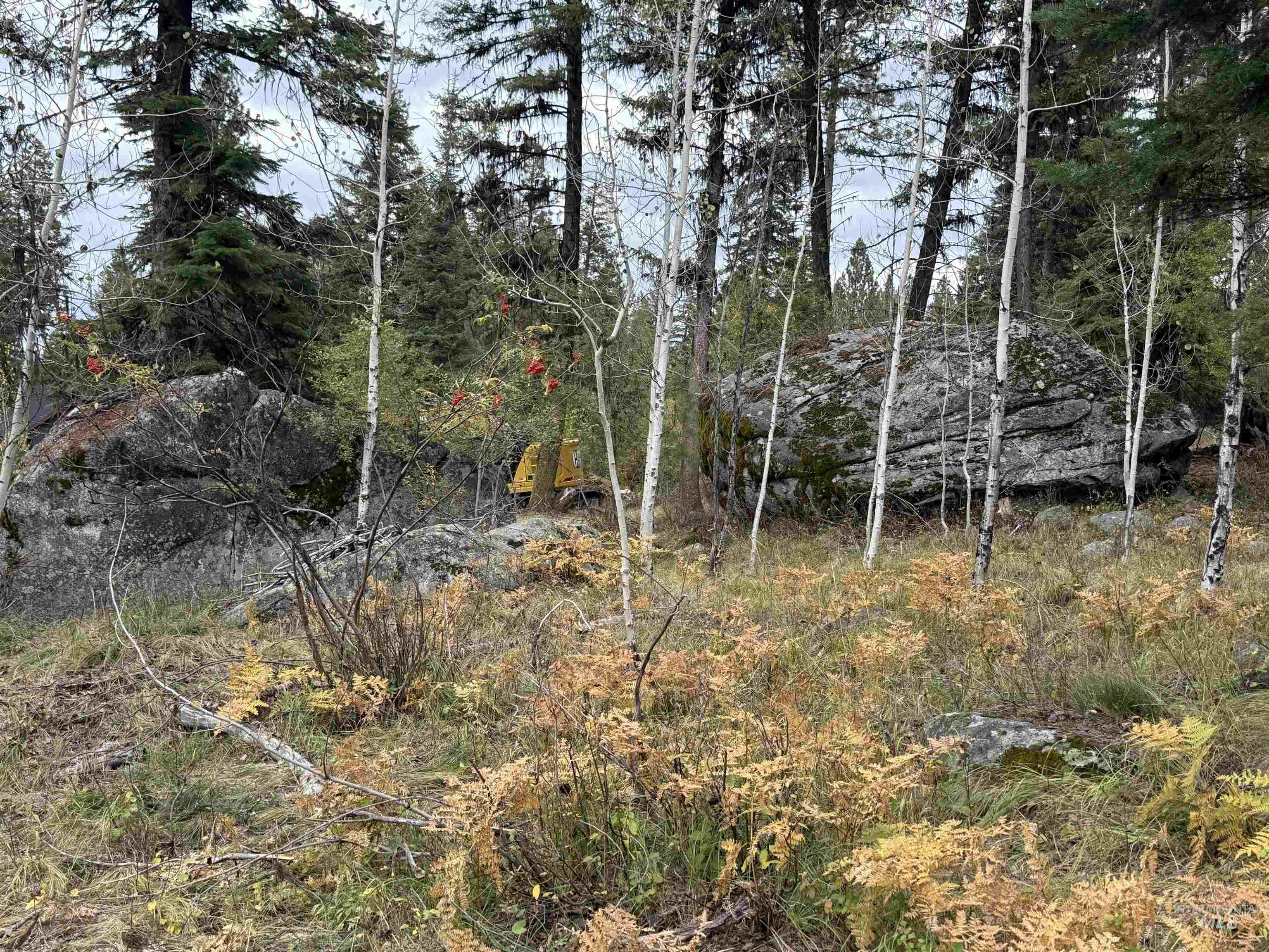 1365 Majestic View Dr, McCall, Idaho 83638, Land For Sale, Price $250,000, 98981162