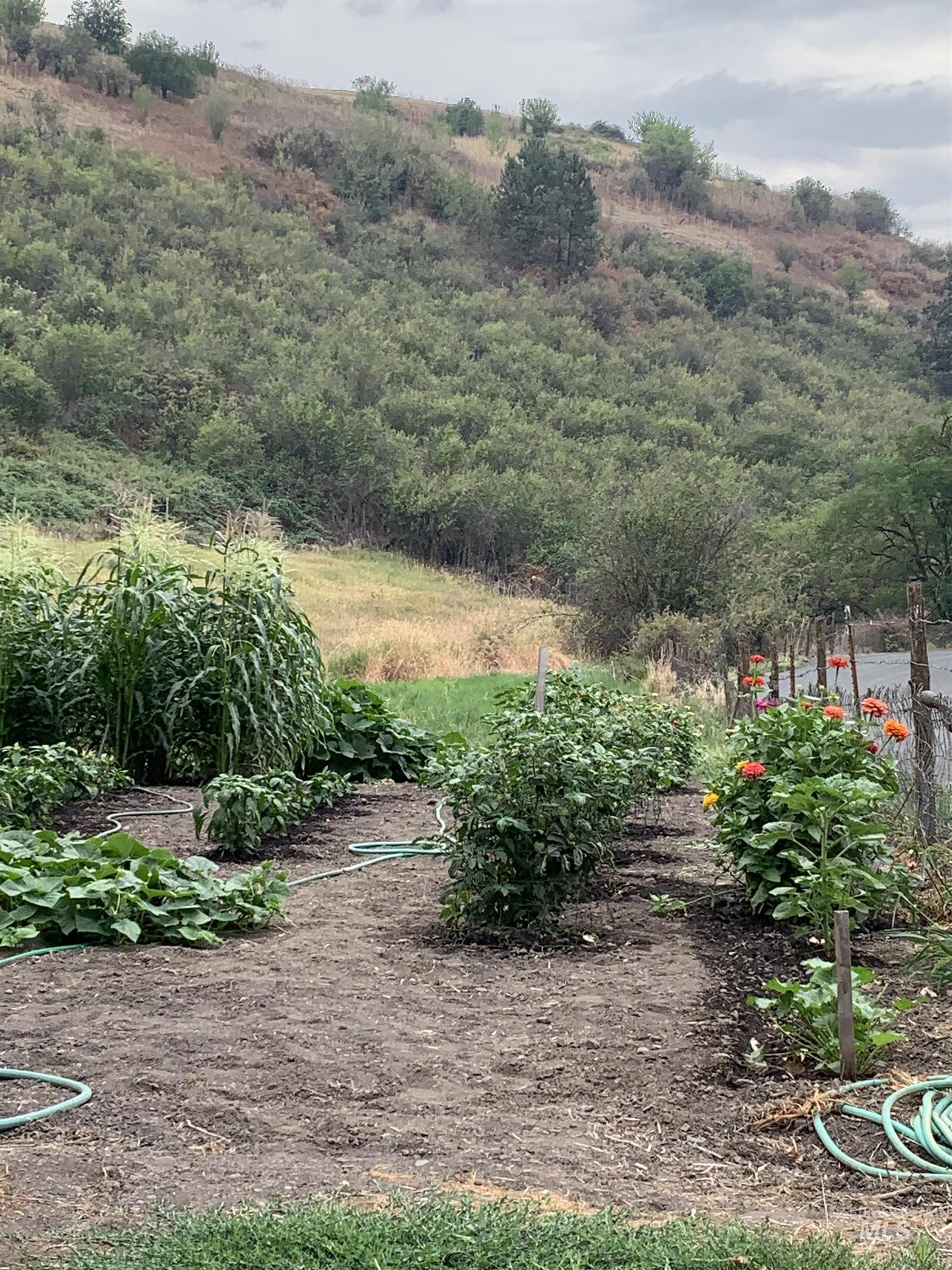 27474 N Tom Beall Road, Lapwai, Idaho 83540, 3 Bedrooms, 2 Bathrooms, Residential For Sale, Price $425,000, 98981164