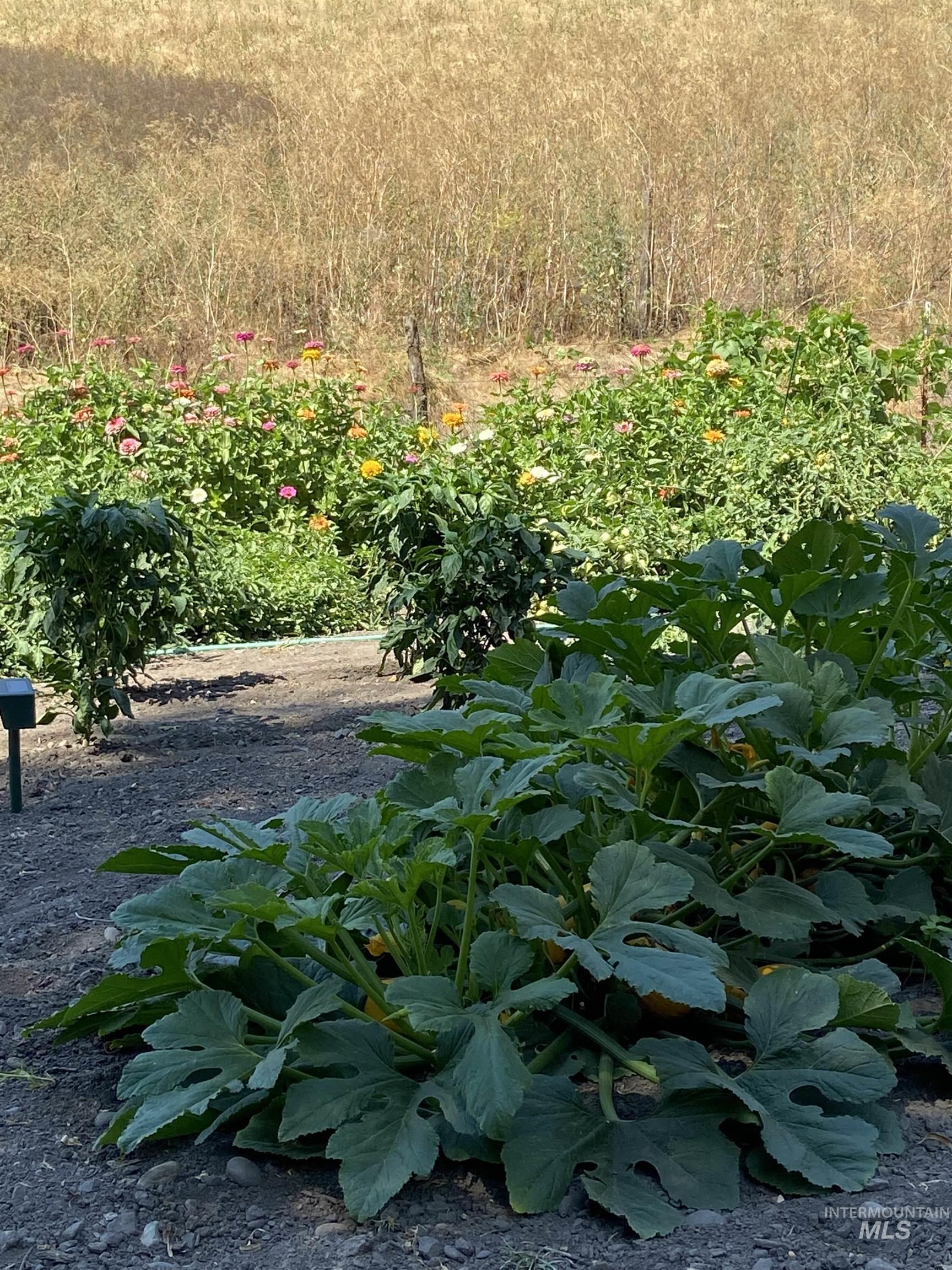 27474 N Tom Beall Road, Lapwai, Idaho 83540, 3 Bedrooms, 2 Bathrooms, Residential For Sale, Price $425,000, 98981164