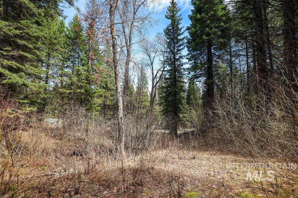 573 West Mountain Road, Cascade, Idaho 83611, Land For Sale, Price $94,500, 98981201