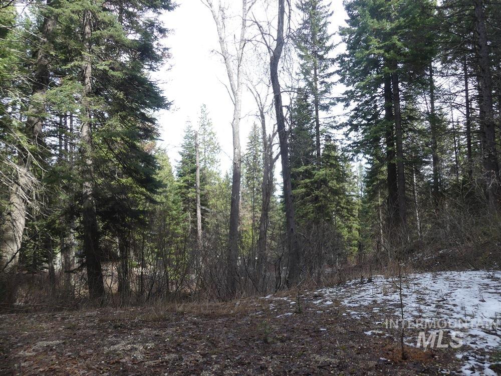 573 West Mountain Road, Cascade, Idaho 83611, Land For Sale, Price $94,500, 98981201