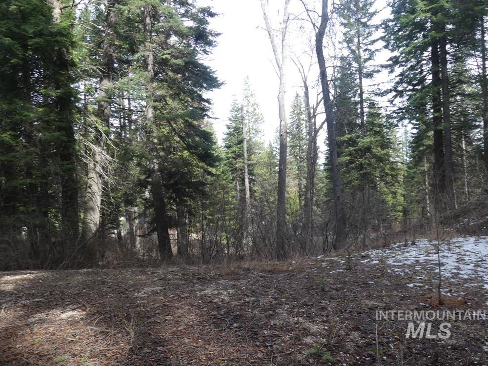573 West Mountain Road, Cascade, Idaho 83611, Land For Sale, Price $94,500, 98981201
