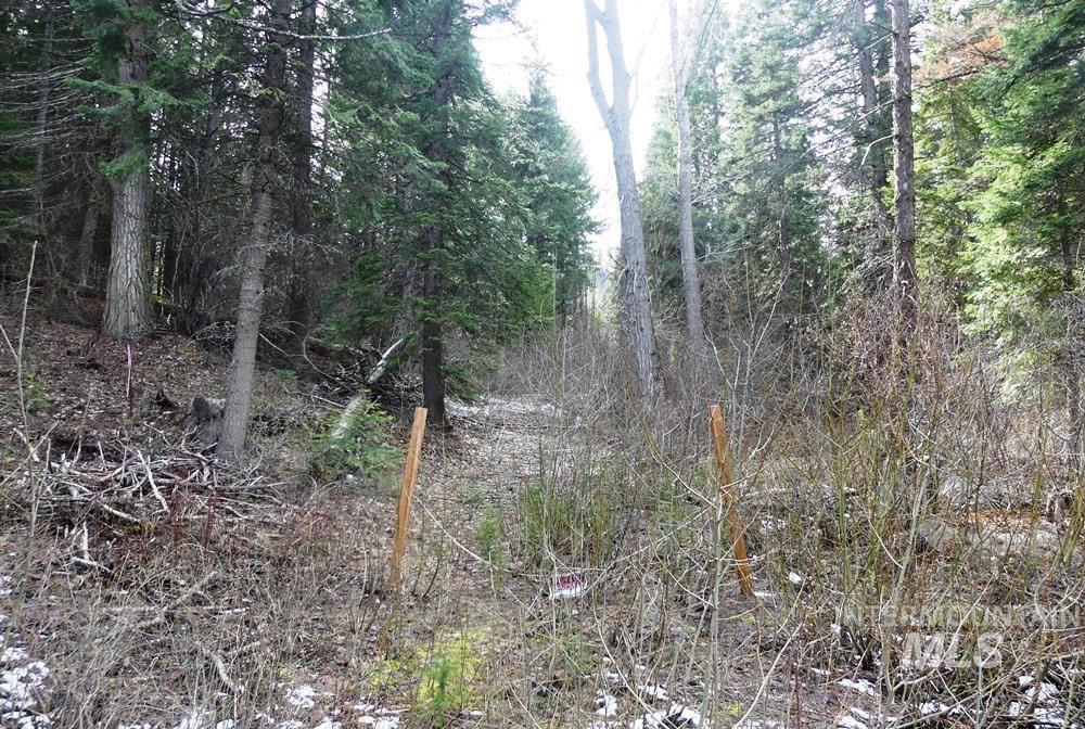 573 West Mountain Road, Cascade, Idaho 83611, Land For Sale, Price $94,500, 98981201