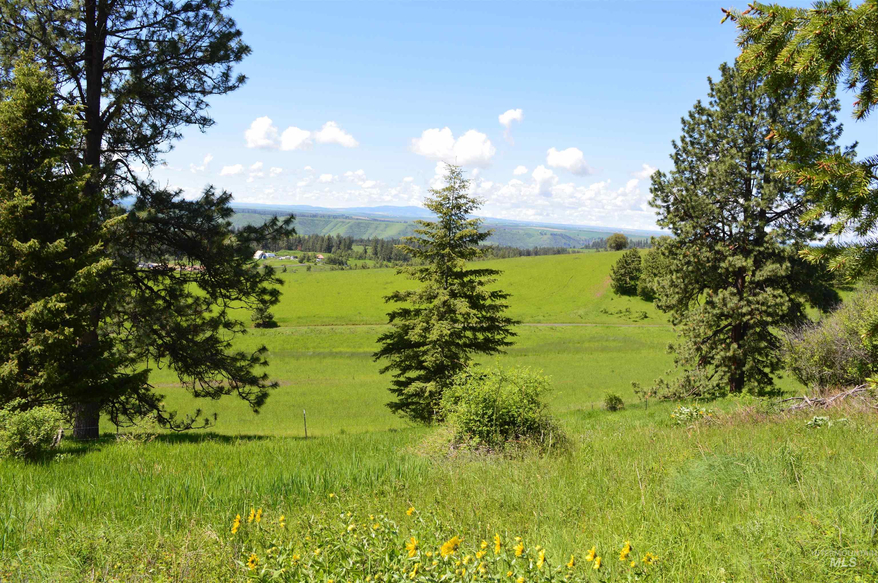 TBD Serenity Rd Lot 3, Kamiah, Idaho 83536, Land For Sale, Price $107,000, 98981233