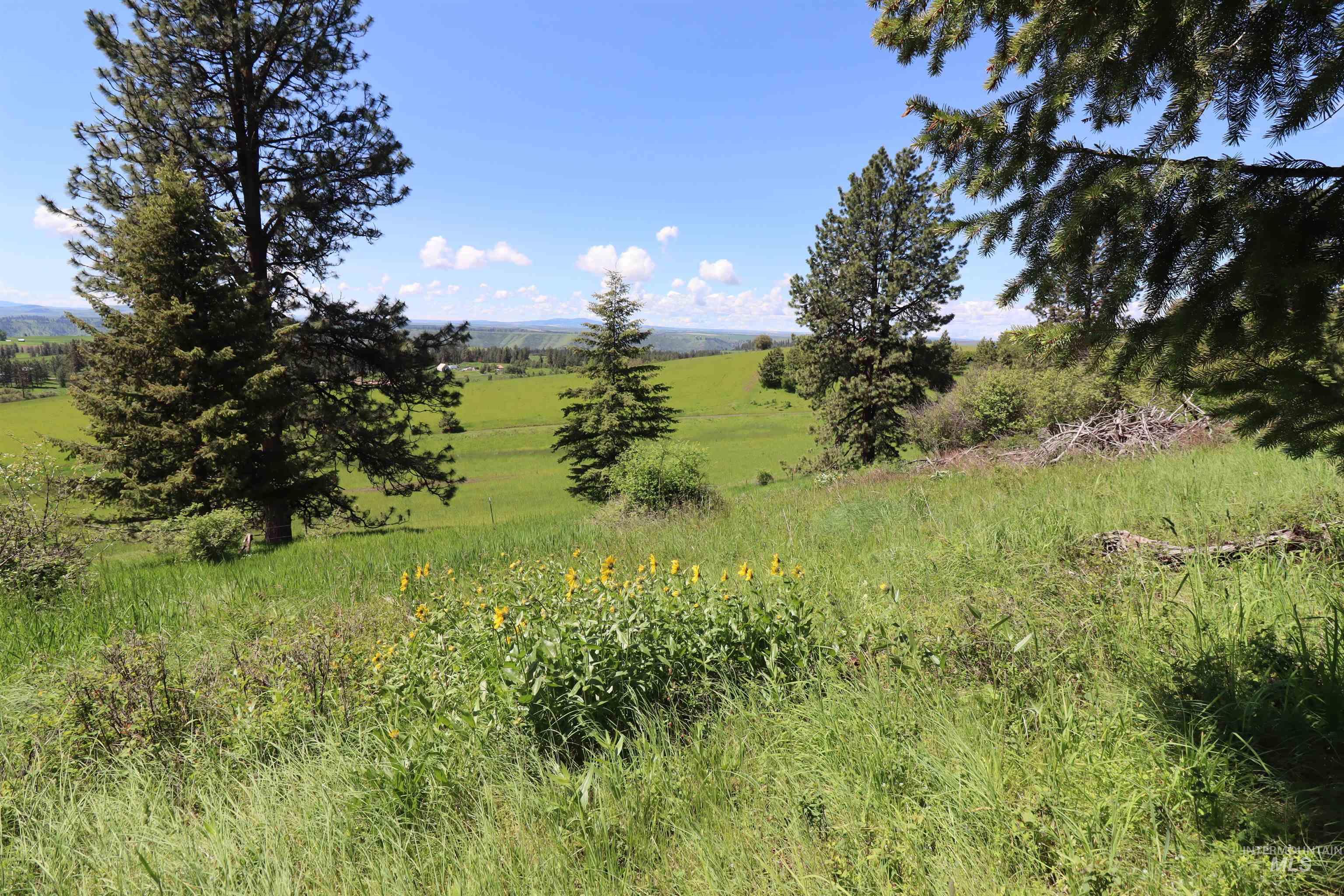 TBD Serenity Rd Lot 3, Kamiah, Idaho 83536, Land For Sale, Price $107,000, 98981233