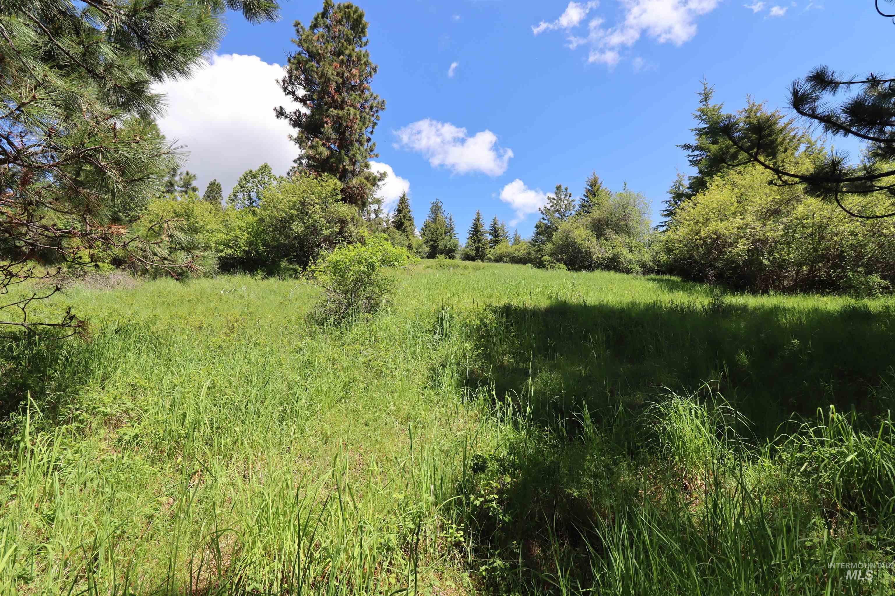 TBD Serenity Rd Lot 3, Kamiah, Idaho 83536, Land For Sale, Price $107,000, 98981233