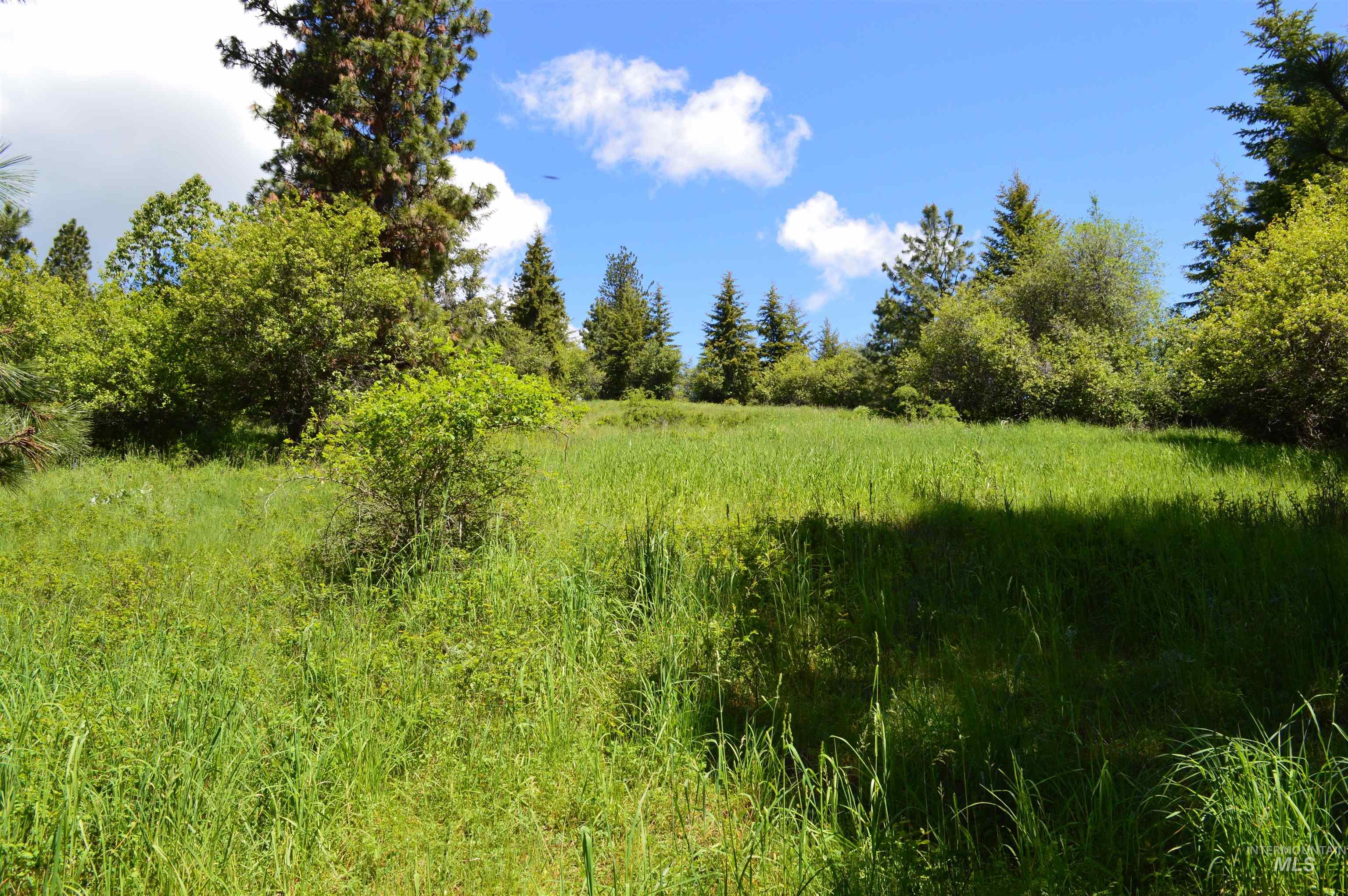 TBD Serenity Rd Lot 3, Kamiah, Idaho 83536, Land For Sale, Price $107,000, 98981233