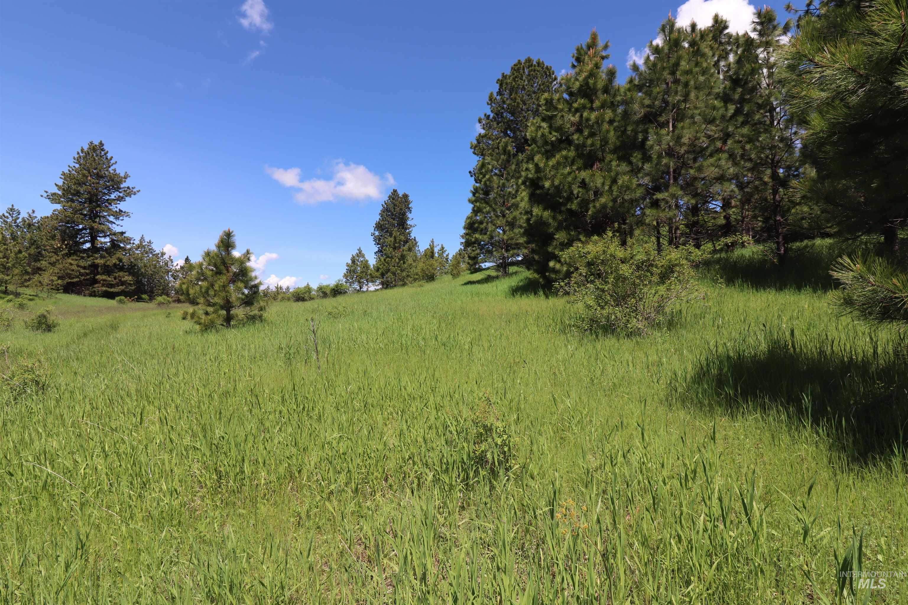 TBD Serenity Rd Lot 3, Kamiah, Idaho 83536, Land For Sale, Price $107,000, 98981233