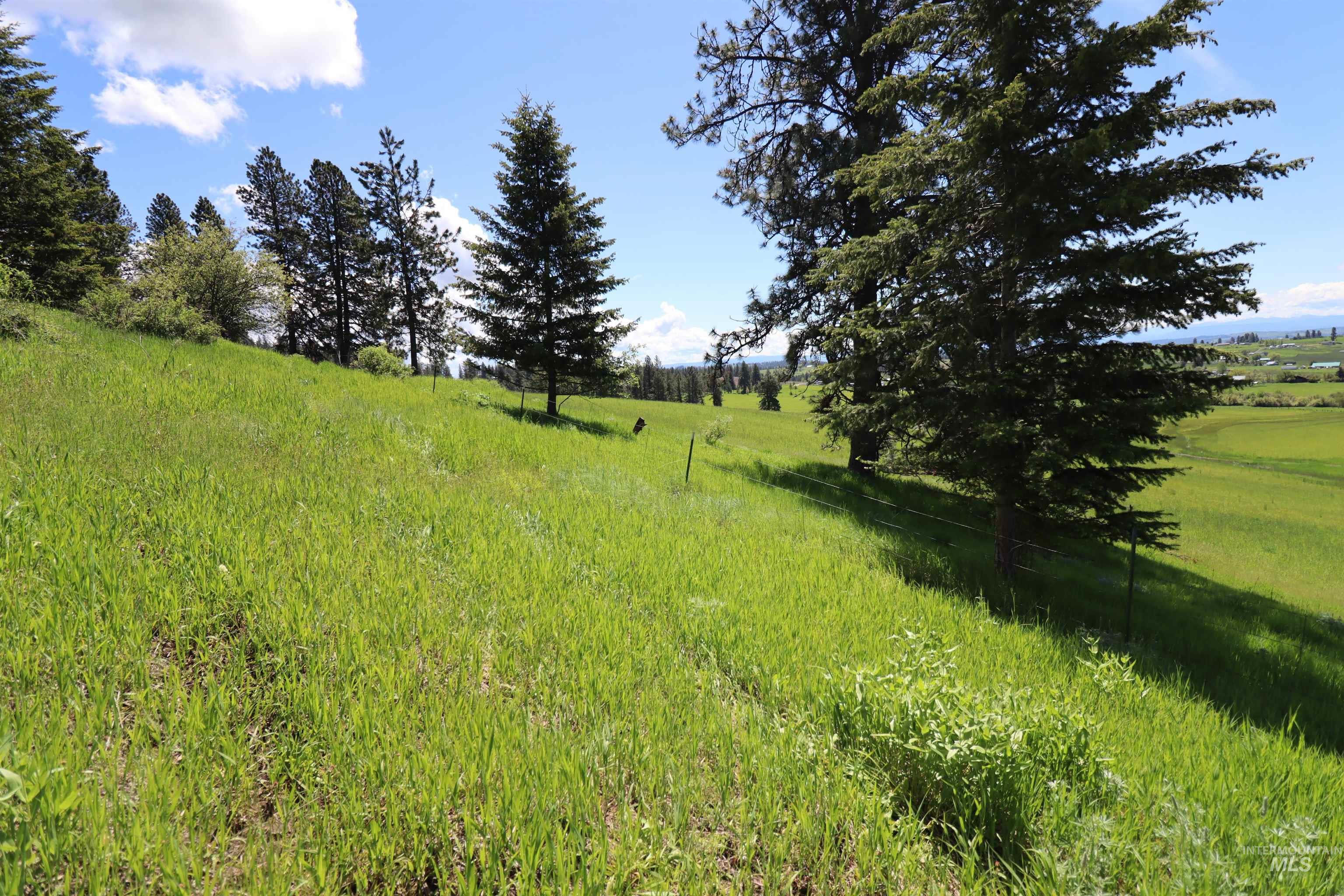 TBD Serenity Rd Lot 3, Kamiah, Idaho 83536, Land For Sale, Price $107,000, 98981233