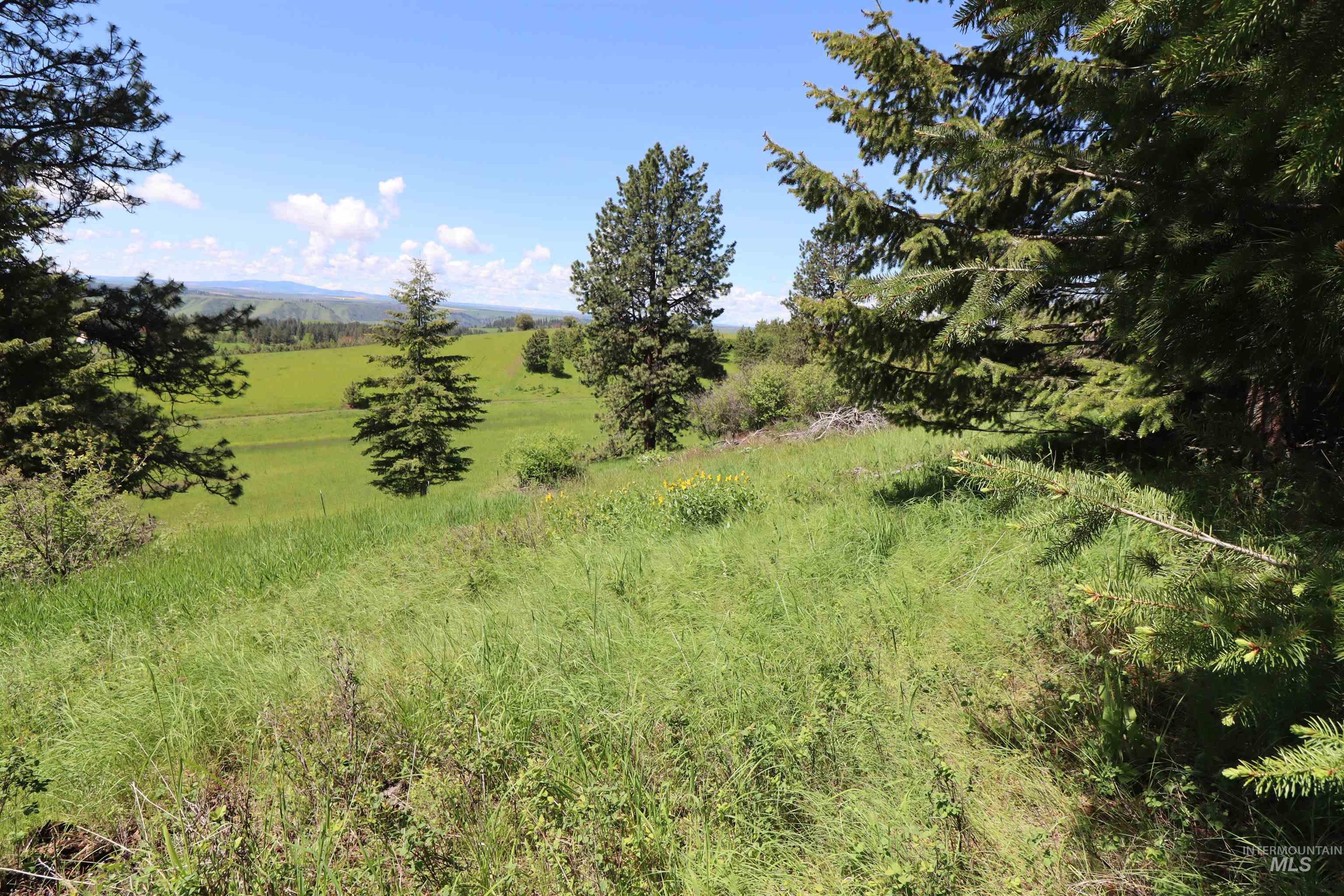 TBD Serenity Rd Lot 3, Kamiah, Idaho 83536, Land For Sale, Price $107,000, 98981233