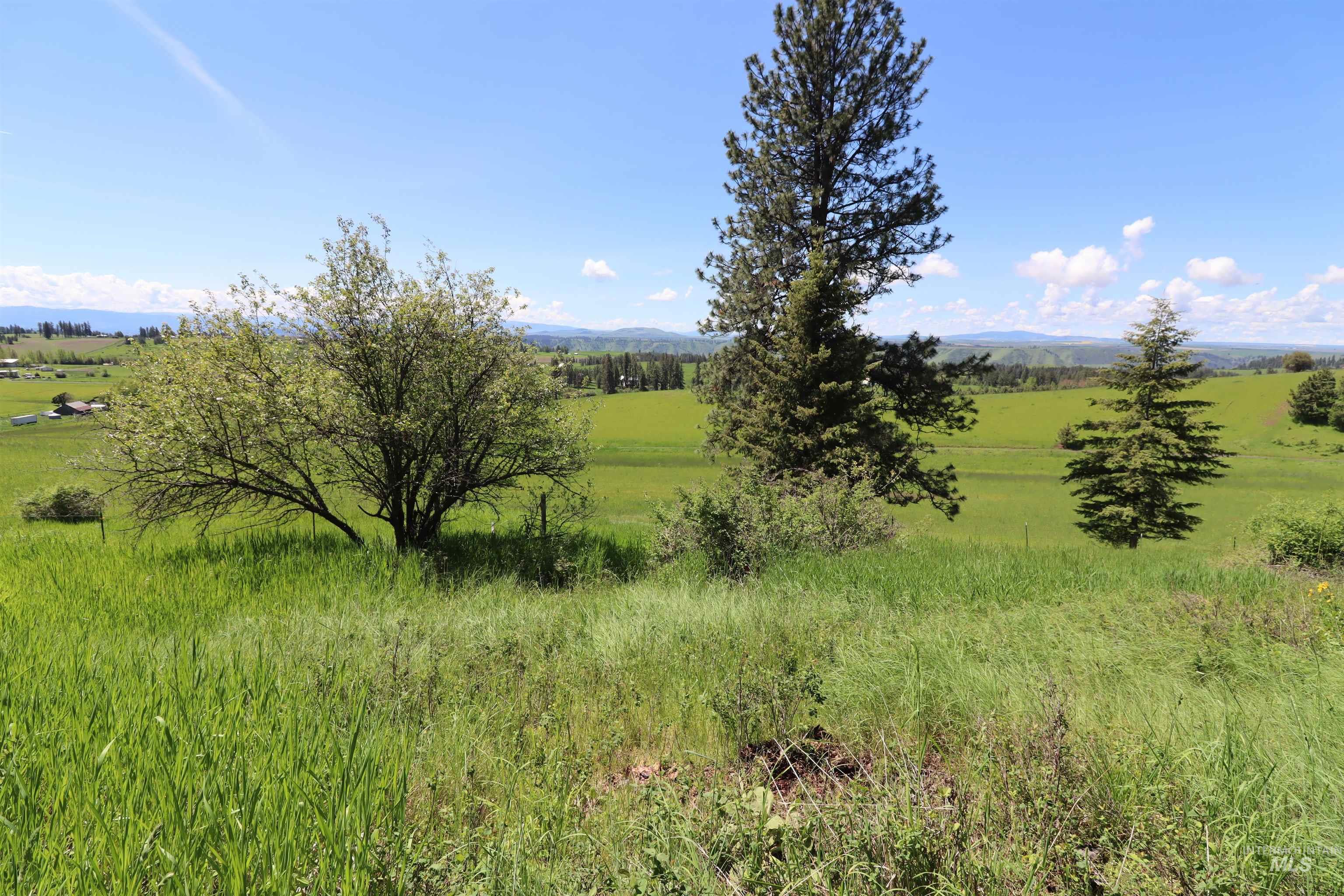 TBD Serenity Rd Lot 3, Kamiah, Idaho 83536, Land For Sale, Price $107,000, 98981233