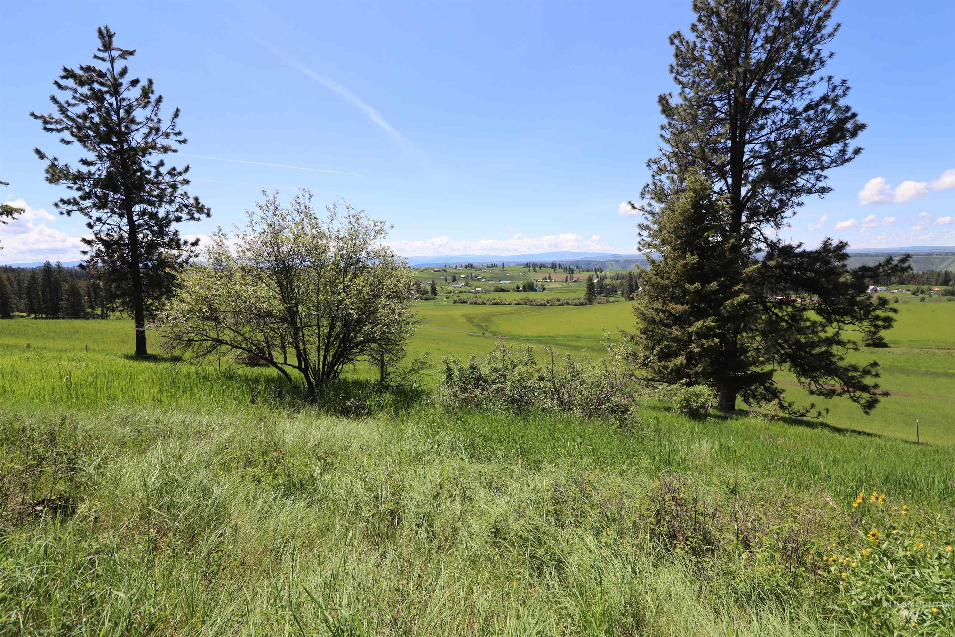 TBD Serenity Rd Lot 3, Kamiah, Idaho 83536, Land For Sale, Price $107,000, 98981233
