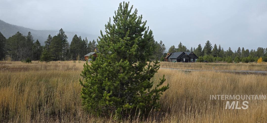 13146 Hawks Bay Road, Donnelly, Idaho 83615, Land For Sale, Price $178,500,MLS 98981237