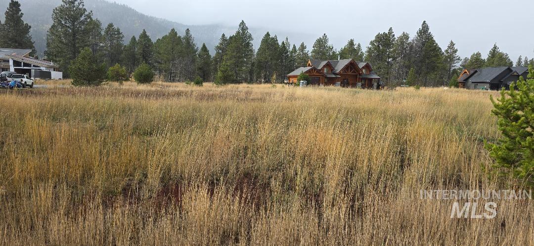 13146 Hawks Bay Road, Donnelly, Idaho 83615, Land For Sale, Price $178,500,MLS 98981237