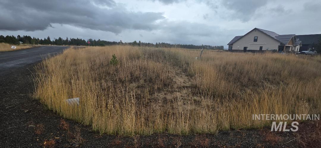 13146 Hawks Bay Road, Donnelly, Idaho 83615, Land For Sale, Price $178,500,MLS 98981237