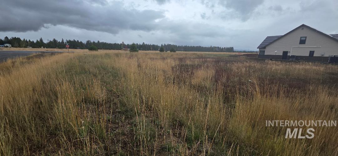 13146 Hawks Bay Road, Donnelly, Idaho 83615, Land For Sale, Price $178,500,MLS 98981237