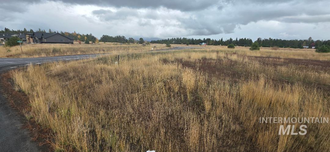 13146 Hawks Bay Road, Donnelly, Idaho 83615, Land For Sale, Price $178,500,MLS 98981237