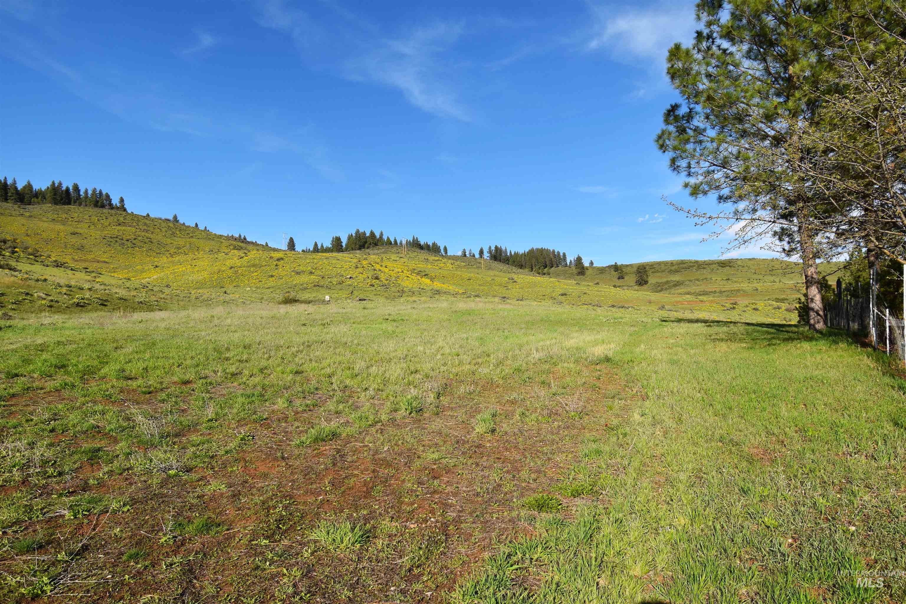 2599 Fruitvale Glendale Road, Council, Idaho 83612, 3 Bedrooms, 2 Bathrooms, Residential For Sale, Price $755,000, 98981338