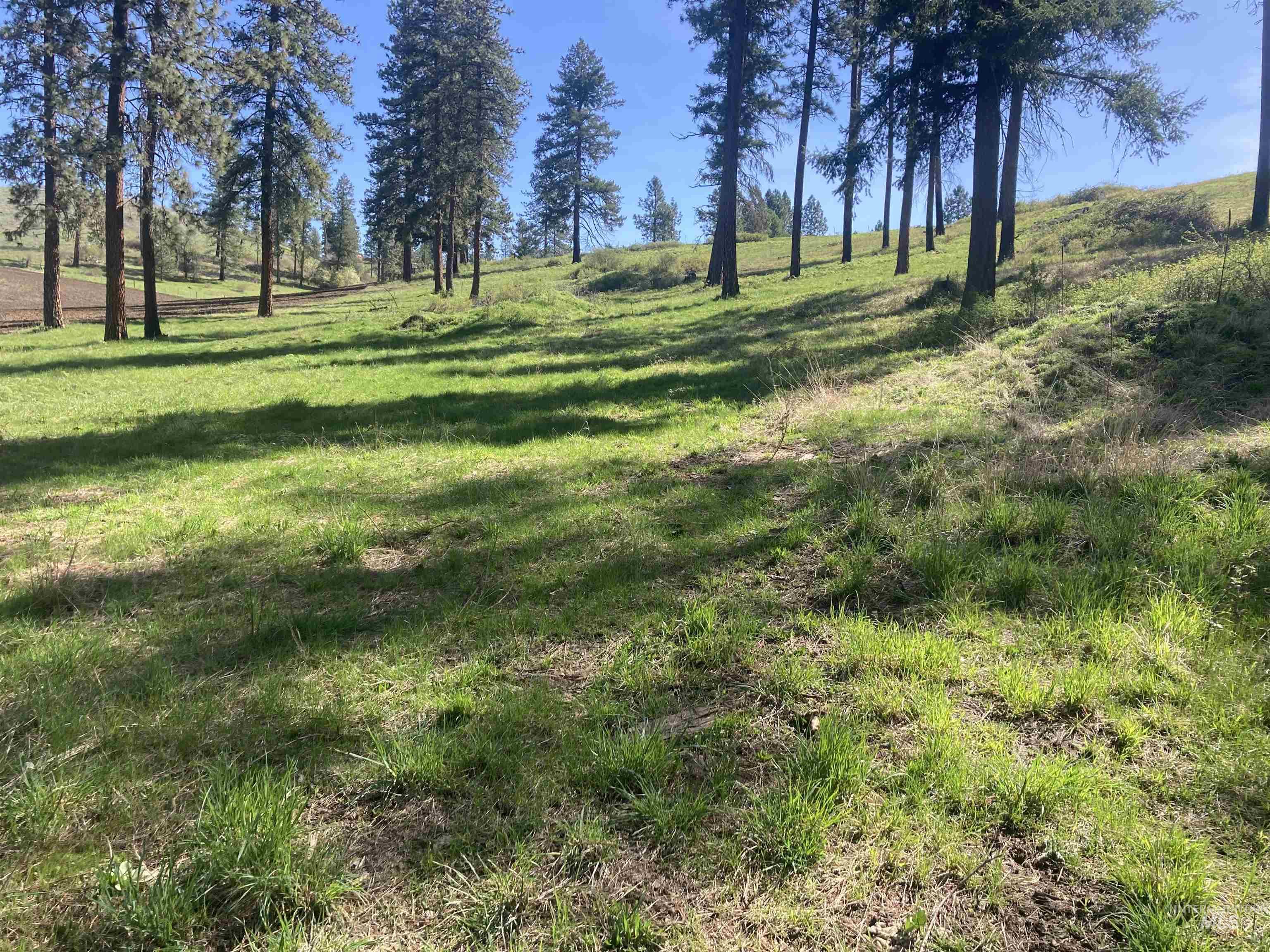 TBD Rangeline Drive, Kamiah, Idaho 83536, Land For Sale, Price $950,000, 98981351