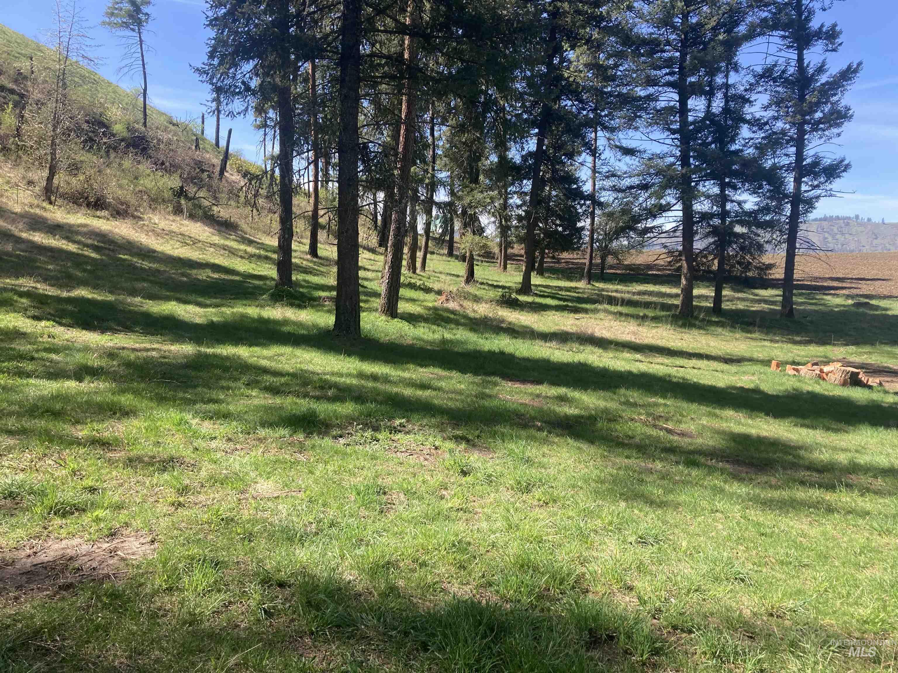 TBD Rangeline Drive, Kamiah, Idaho 83536, Land For Sale, Price $950,000, 98981351