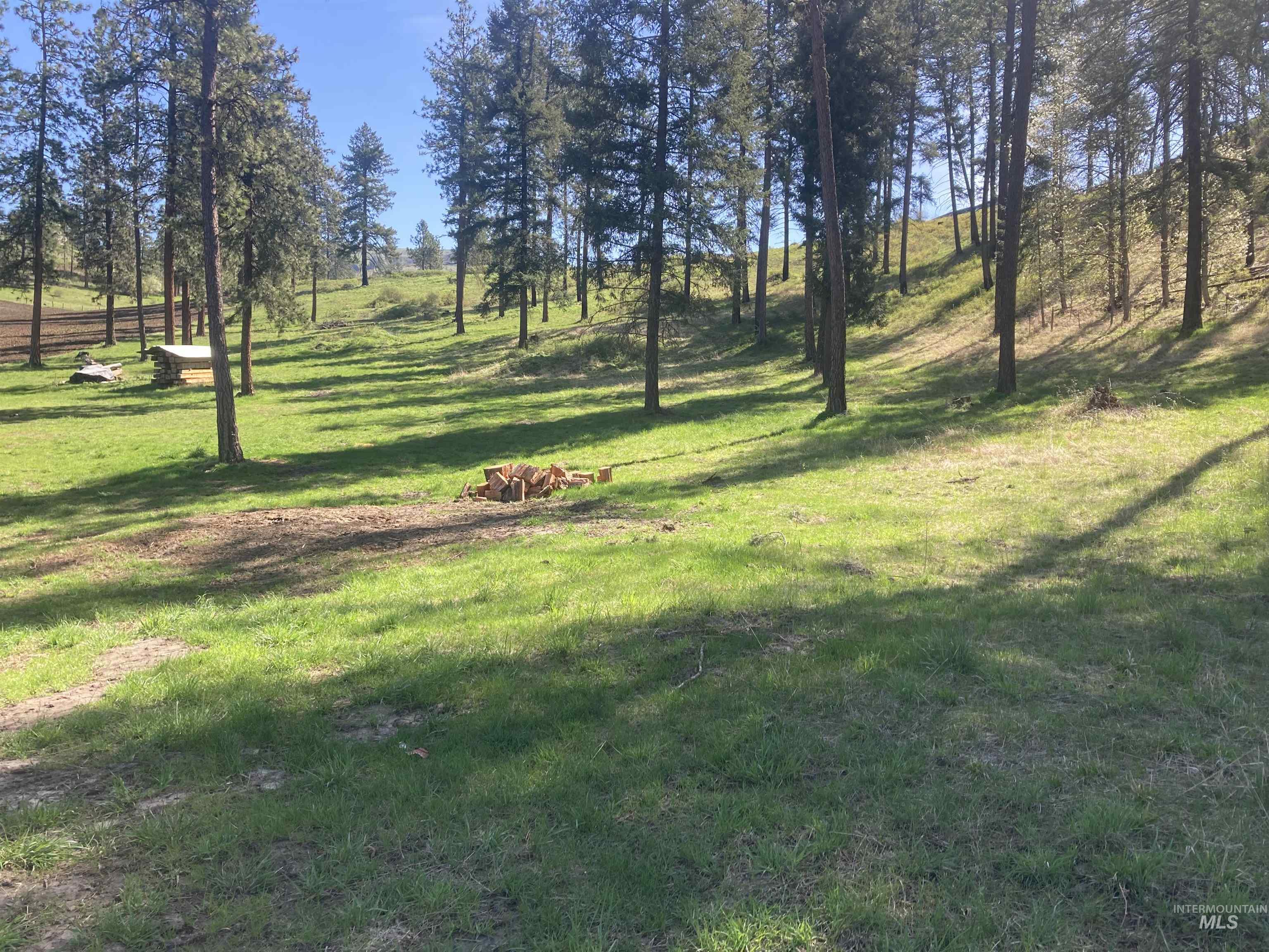 TBD Rangeline Drive, Kamiah, Idaho 83536, Land For Sale, Price $950,000, 98981351