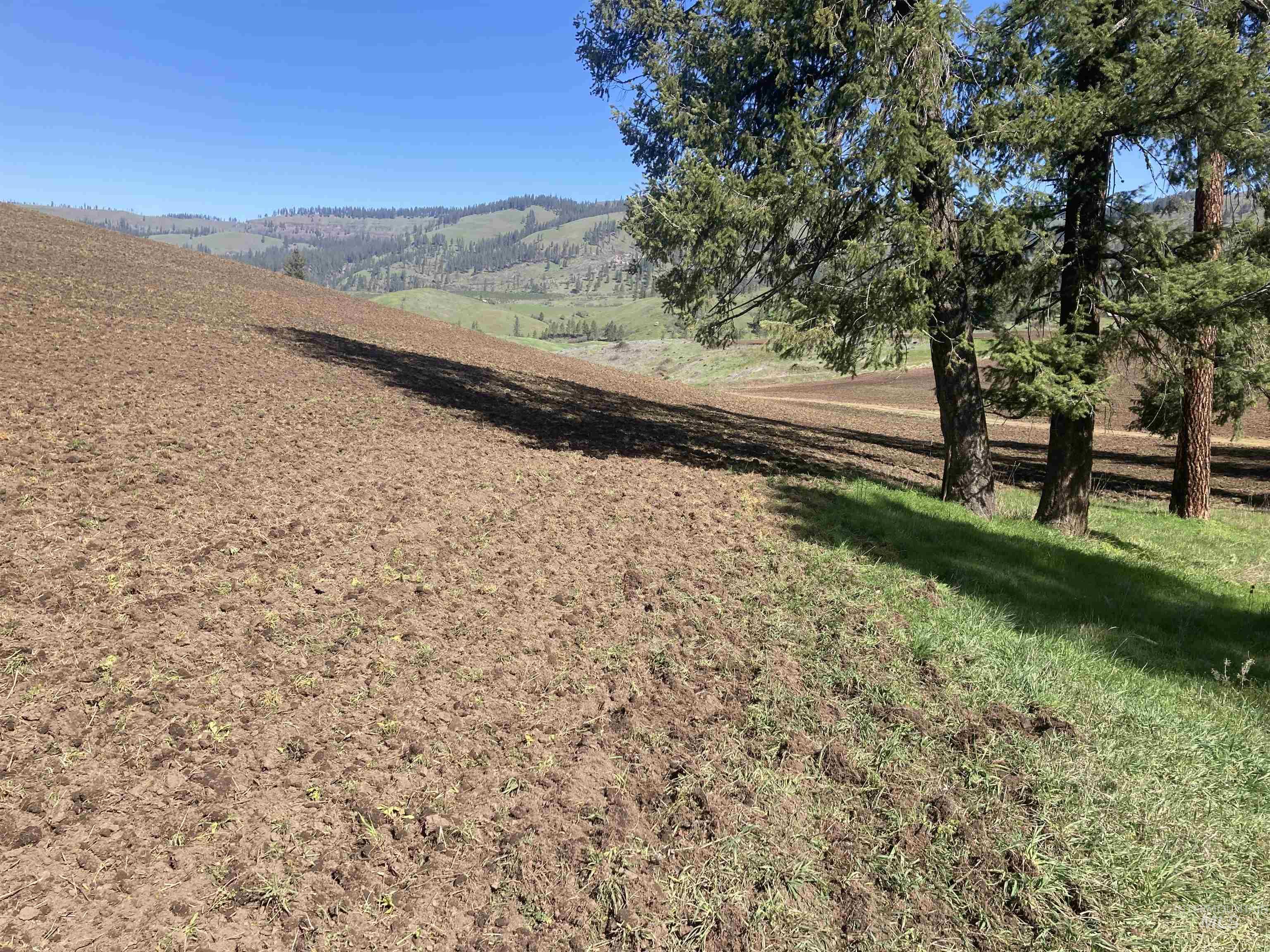 TBD Rangeline Drive, Kamiah, Idaho 83536, Land For Sale, Price $950,000, 98981351