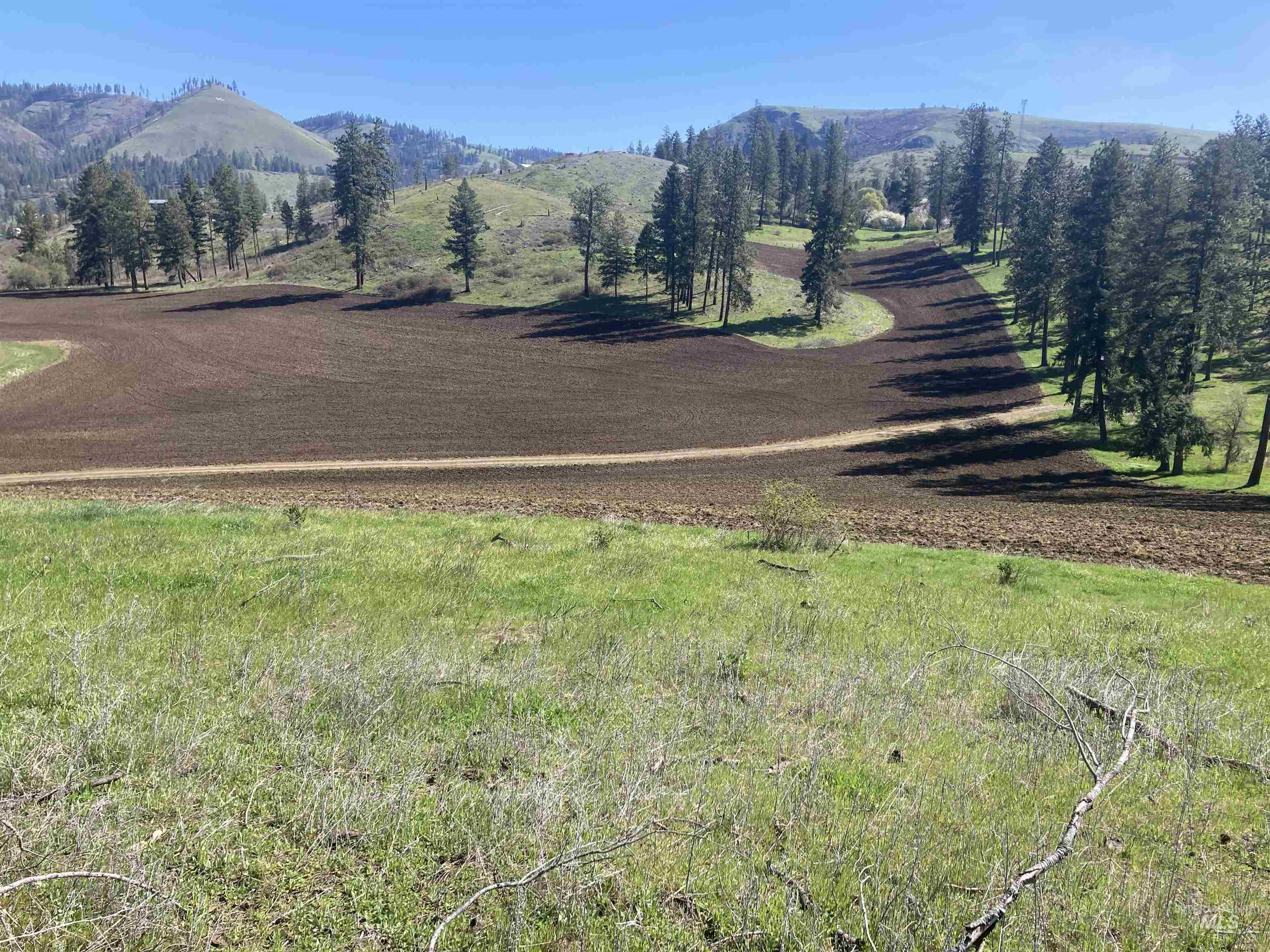 TBD Rangeline Drive, Kamiah, Idaho 83536, Land For Sale, Price $950,000, 98981351