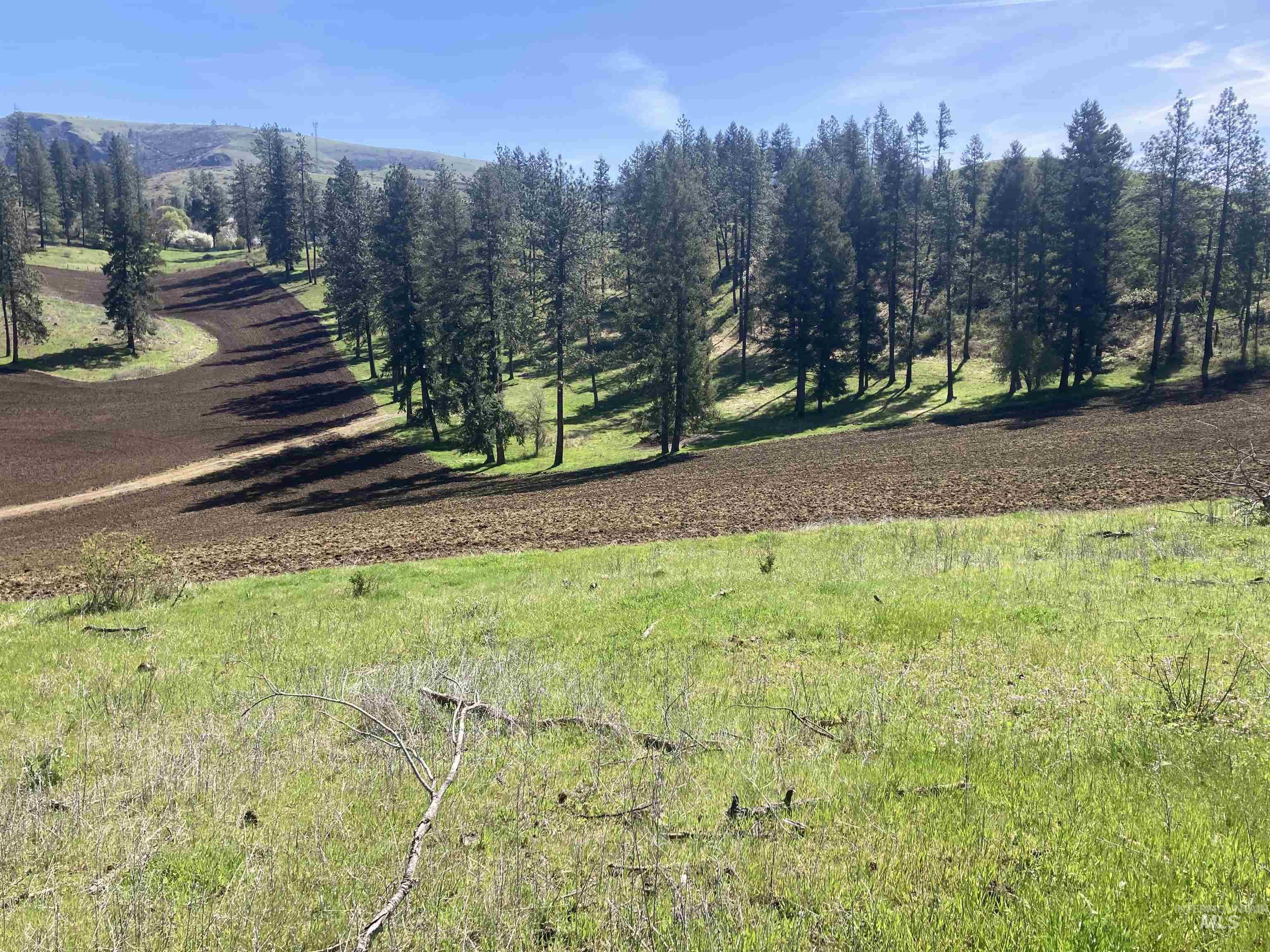 TBD Rangeline Drive, Kamiah, Idaho 83536, Land For Sale, Price $950,000, 98981351