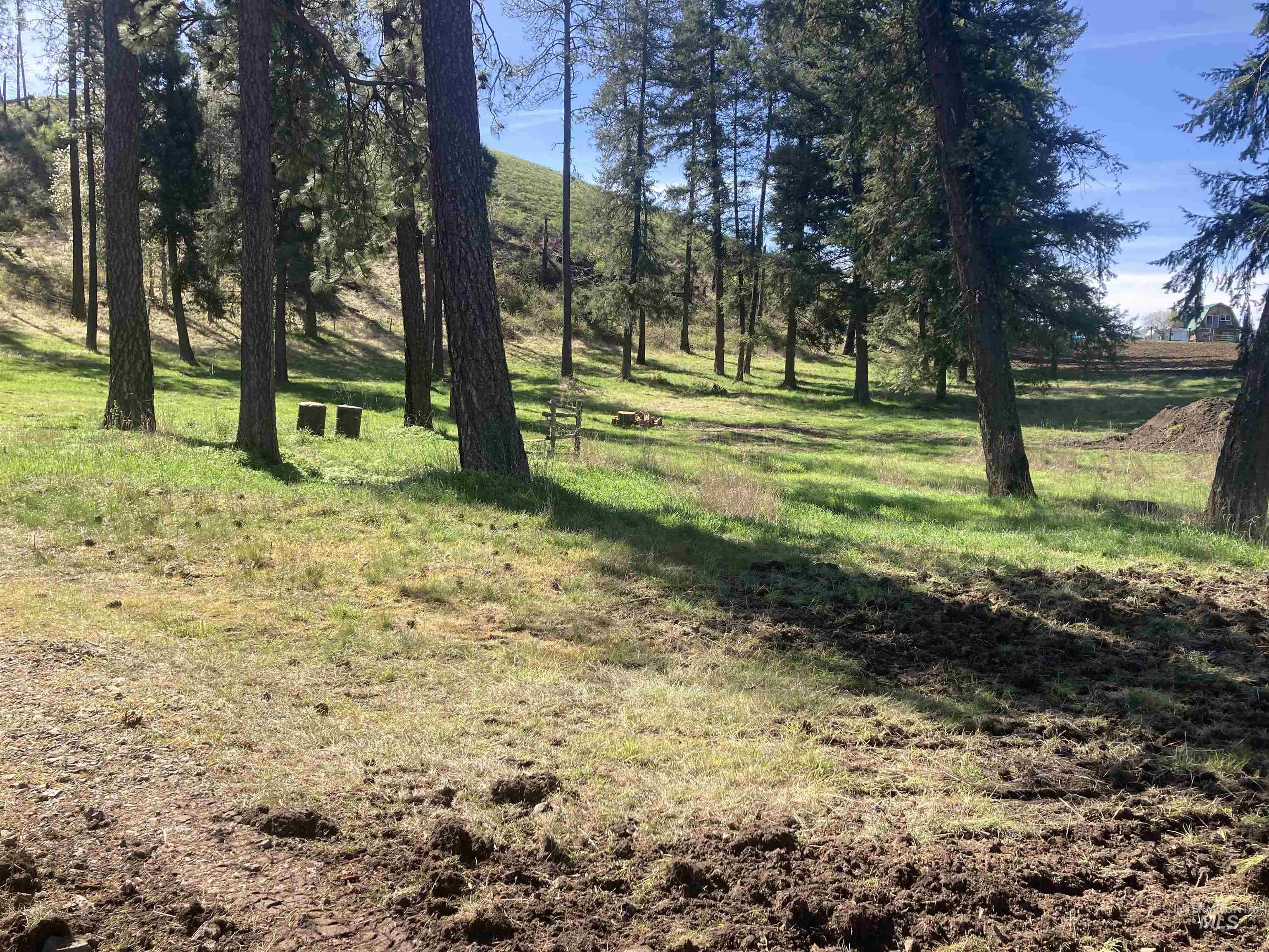 TBD Rangeline Drive, Kamiah, Idaho 83536, Land For Sale, Price $950,000, 98981351