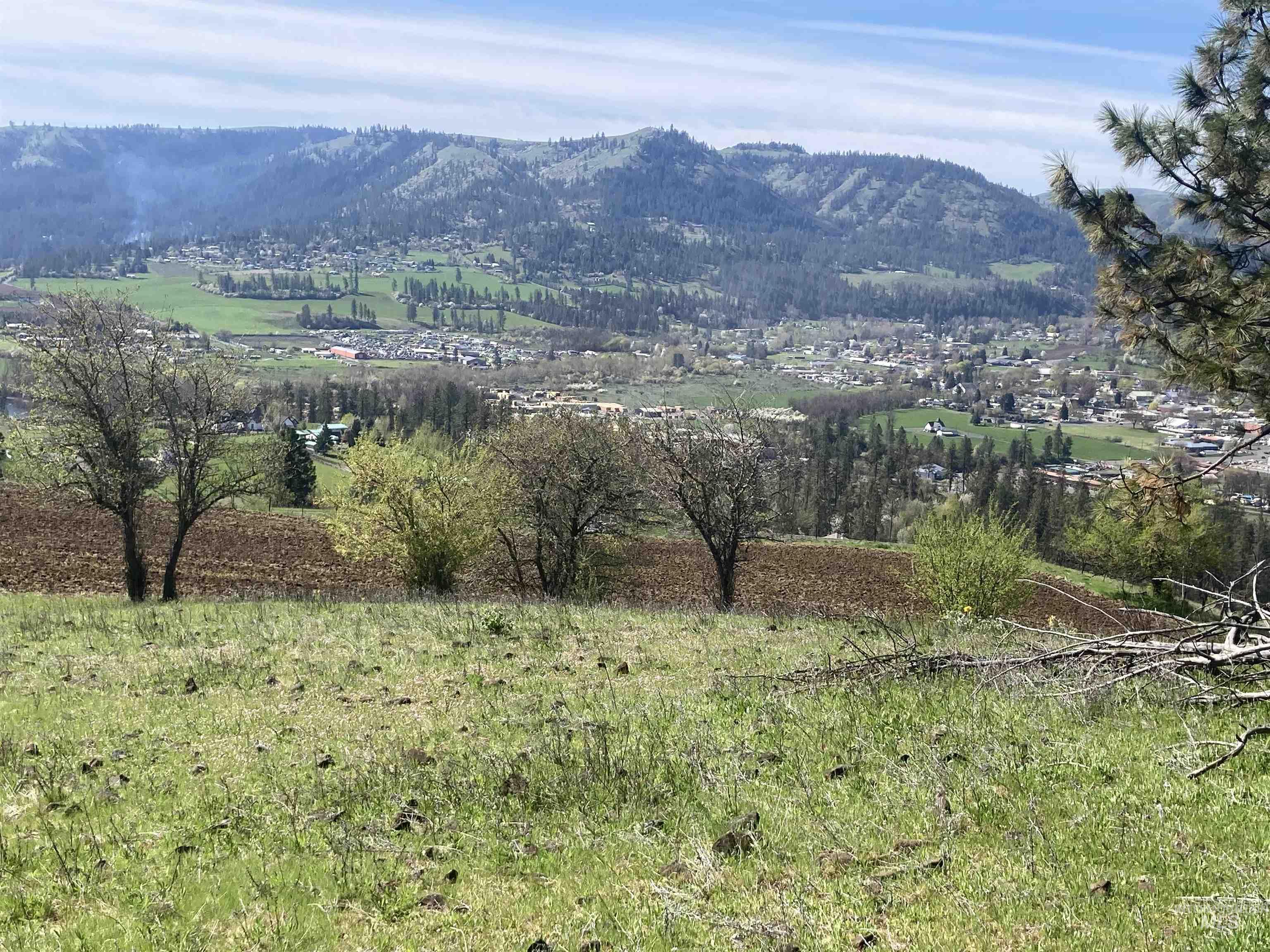 TBD Rangeline Drive, Kamiah, Idaho 83536, Land For Sale, Price $950,000, 98981351