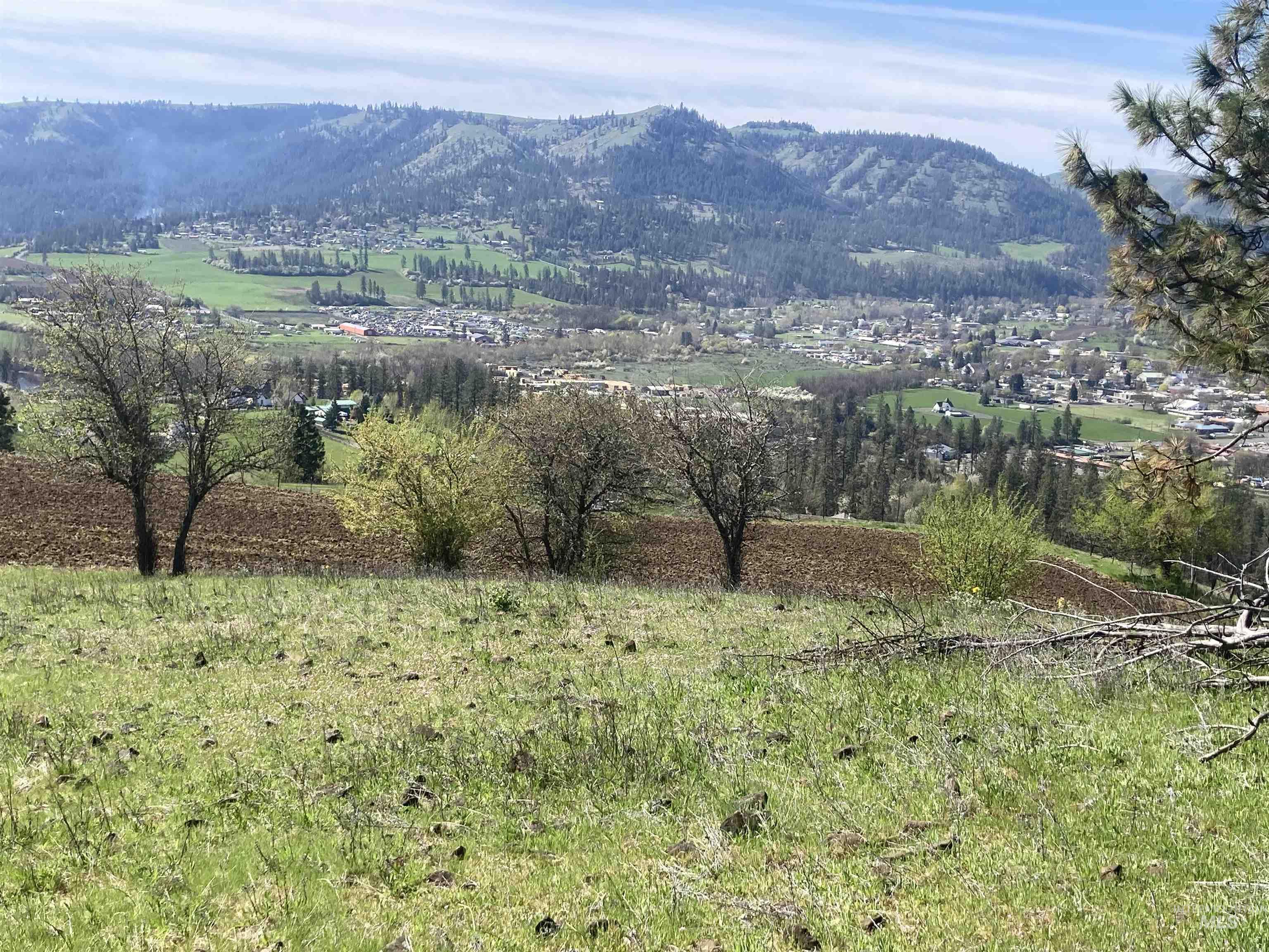 TBD Rangeline Drive, Kamiah, Idaho 83536, Land For Sale, Price $950,000, 98981351