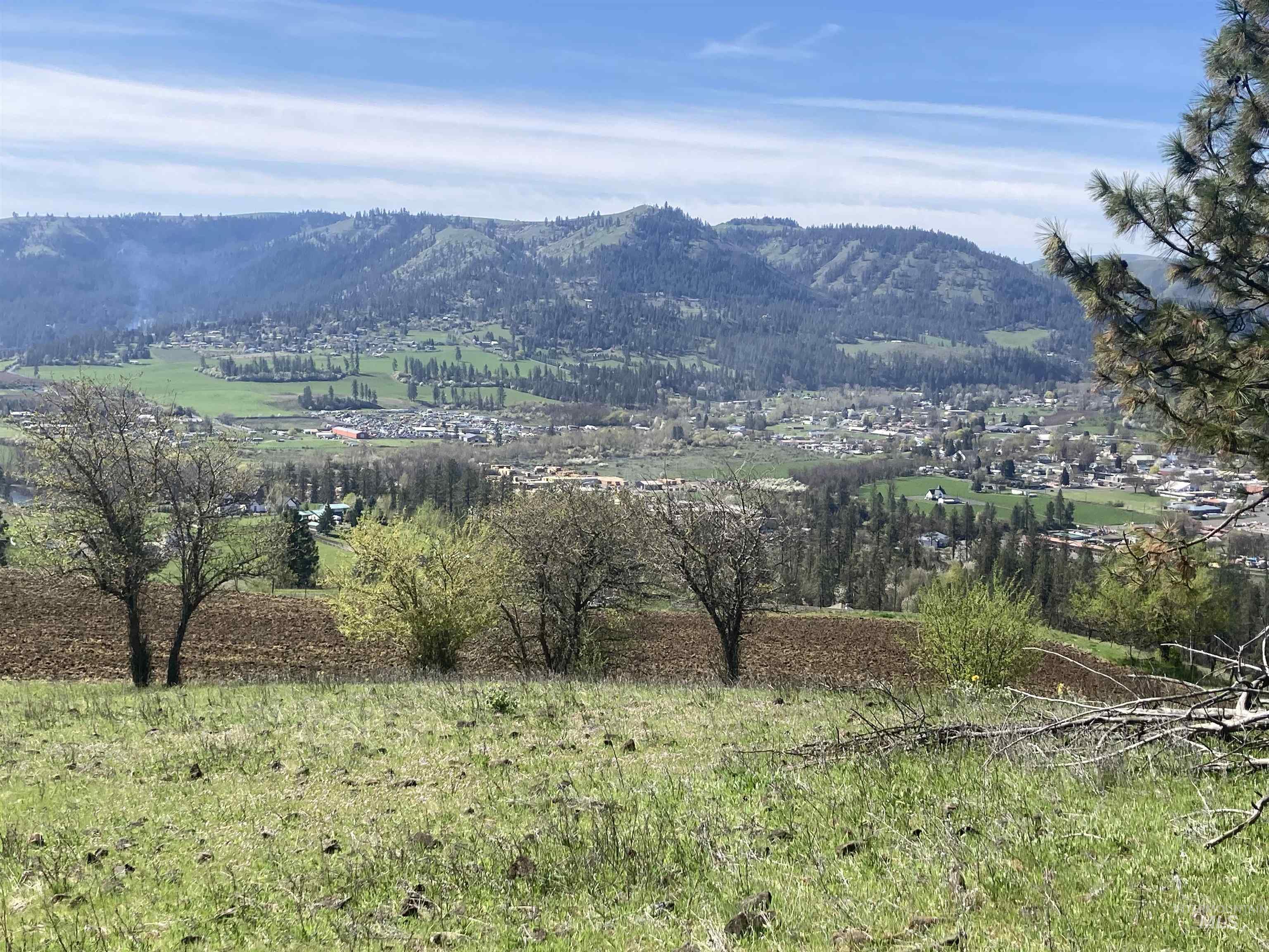 TBD Rangeline Drive, Kamiah, Idaho 83536, Land For Sale, Price $950,000, 98981351