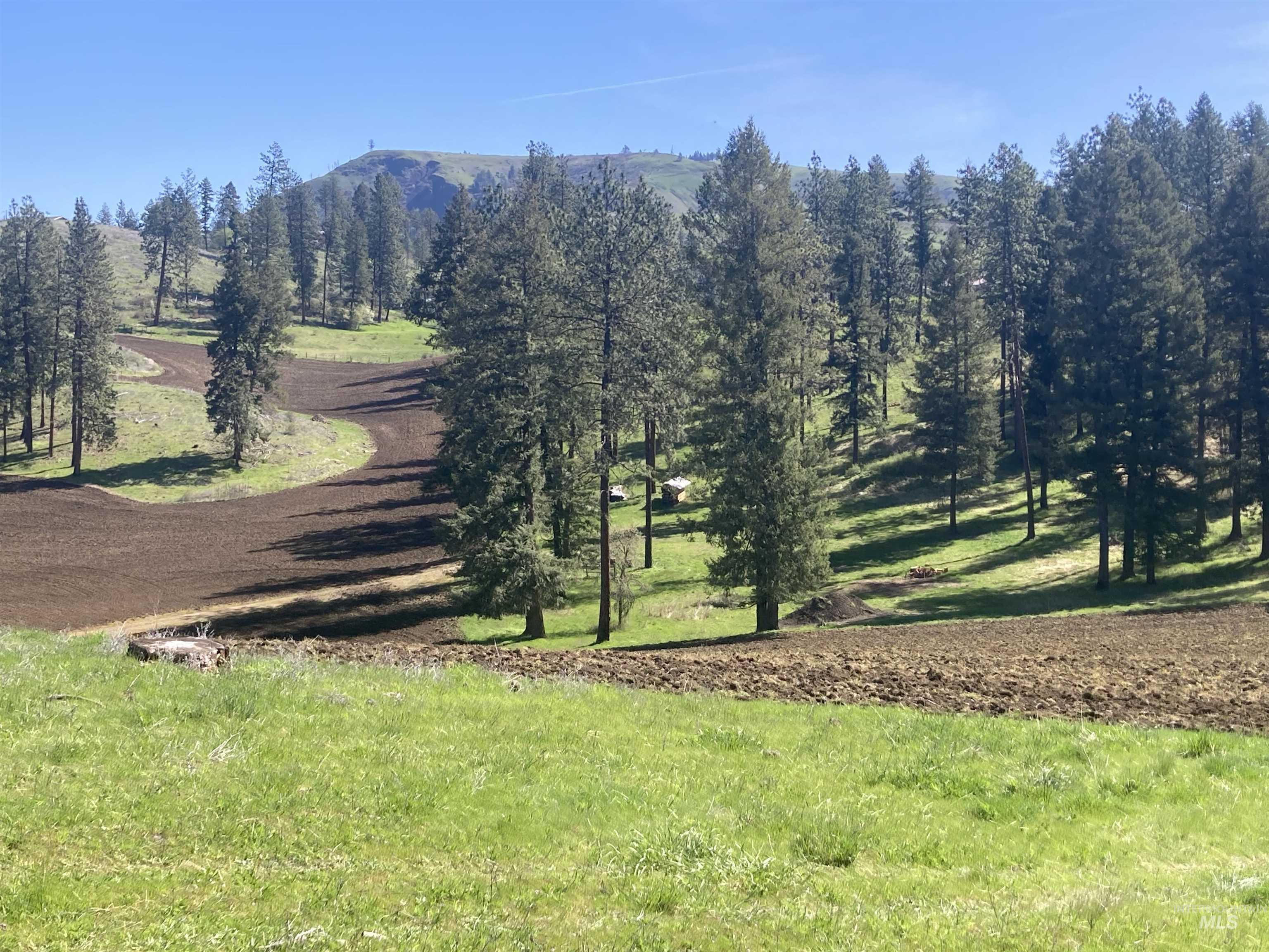 TBD Rangeline Drive, Kamiah, Idaho 83536, Land For Sale, Price $950,000, 98981351