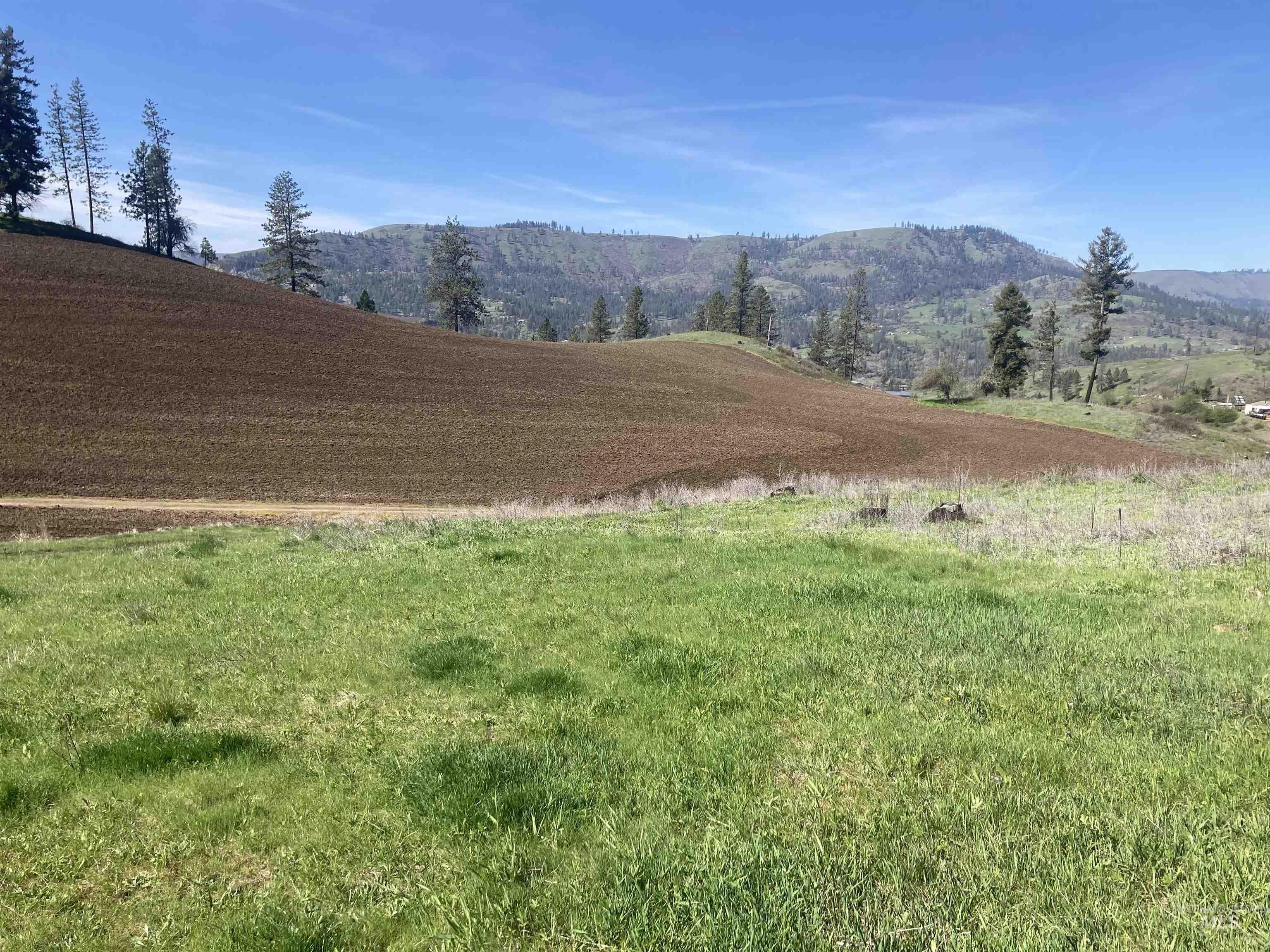 TBD Rangeline Drive, Kamiah, Idaho 83536, Land For Sale, Price $950,000, 98981351