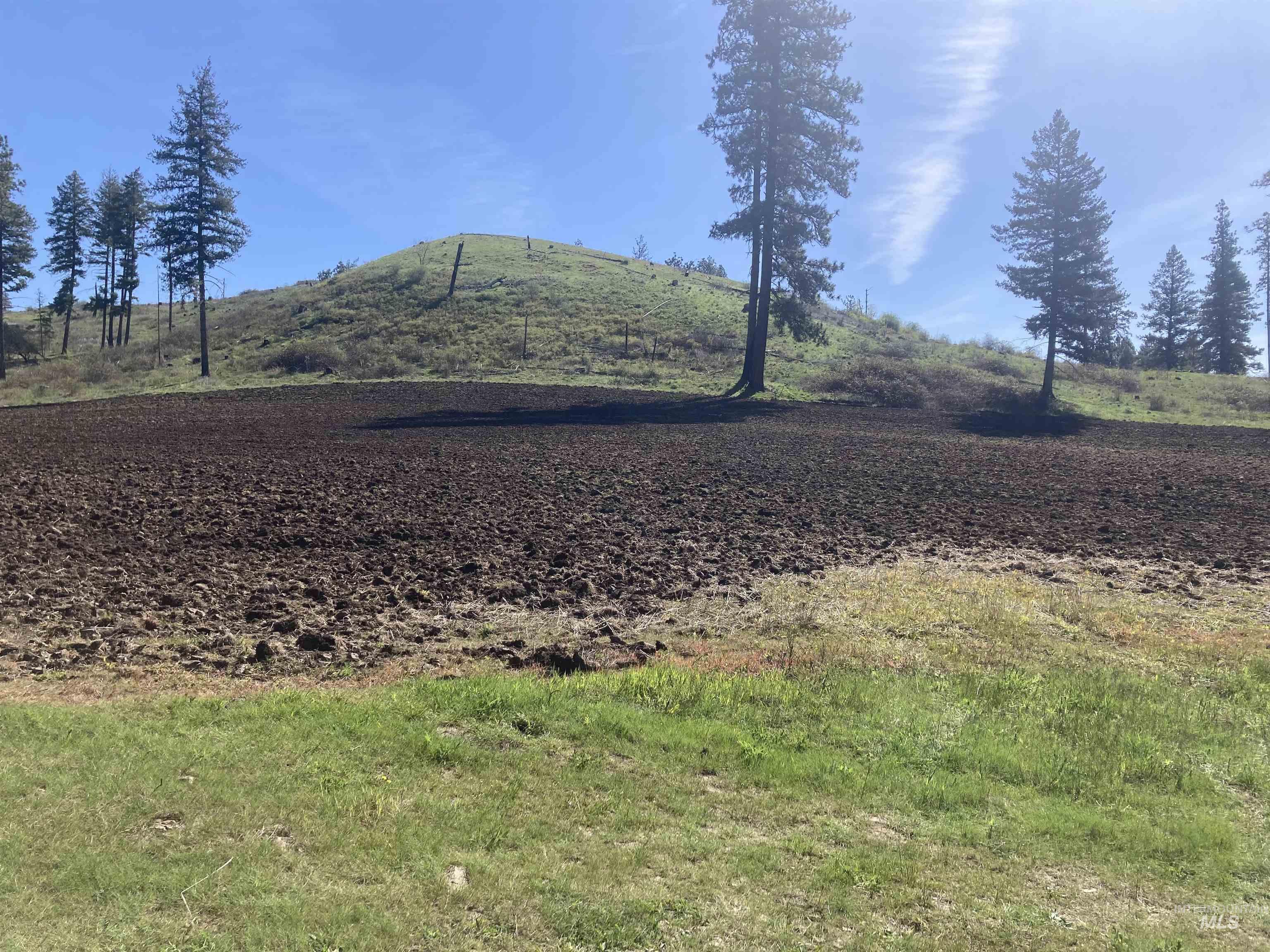 TBD Rangeline Drive, Kamiah, Idaho 83536, Land For Sale, Price $950,000, 98981351