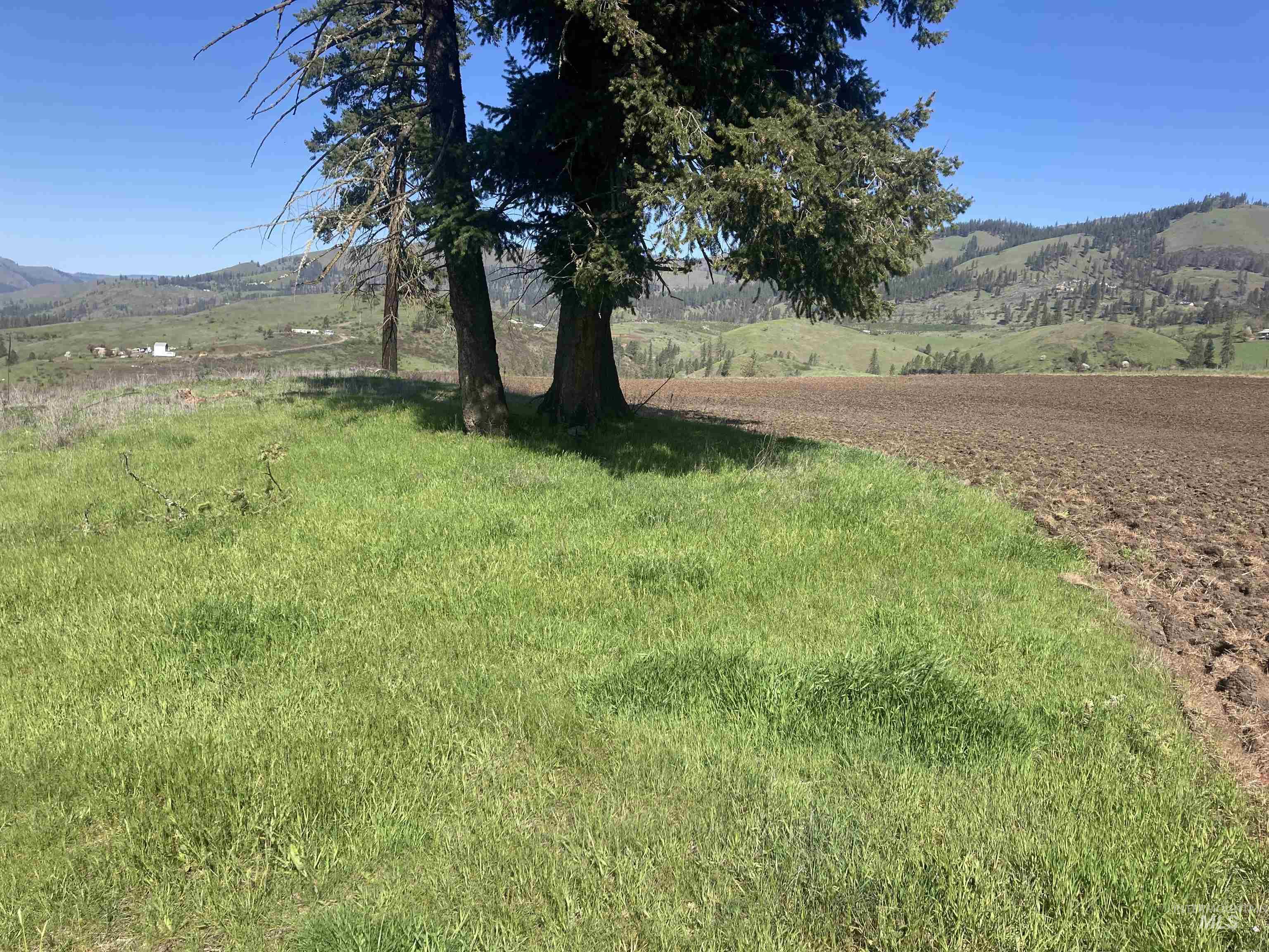 TBD Rangeline Drive, Kamiah, Idaho 83536, Land For Sale, Price $950,000, 98981351
