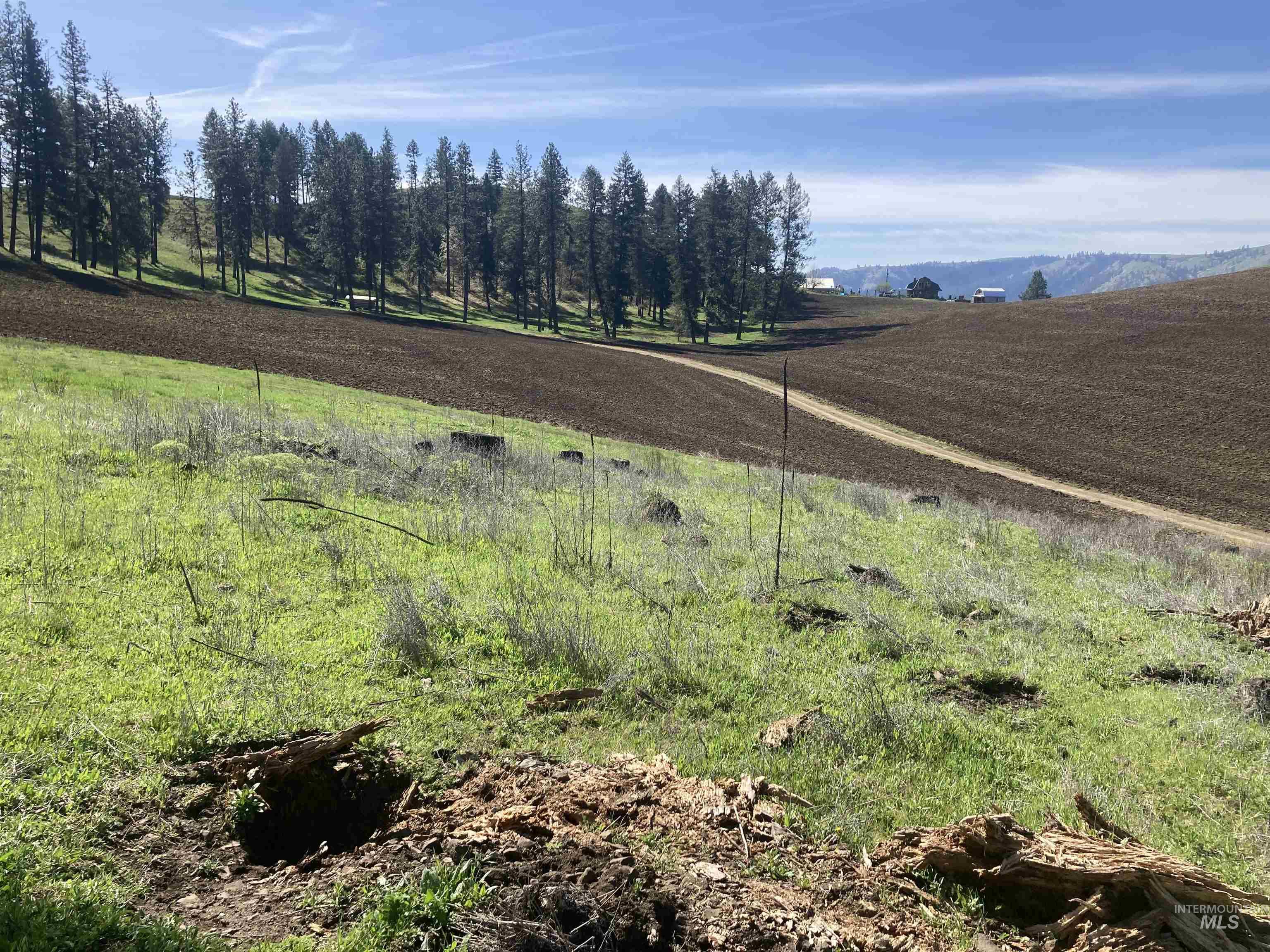 TBD Rangeline Drive, Kamiah, Idaho 83536, Land For Sale, Price $950,000, 98981351