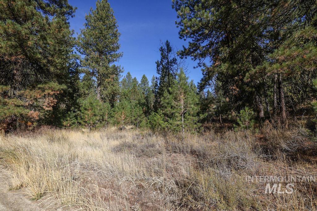 TBD Joshua Drive, Cascade, Idaho 83611, Land For Sale, Price $180,000,MLS 98981376
