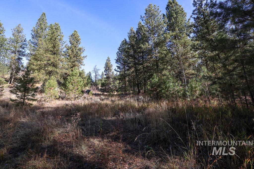 TBD Joshua Drive, Cascade, Idaho 83611, Land For Sale, Price $180,000,MLS 98981376