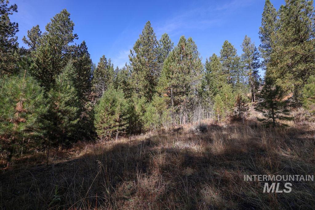 TBD Joshua Drive, Cascade, Idaho 83611, Land For Sale, Price $180,000,MLS 98981376