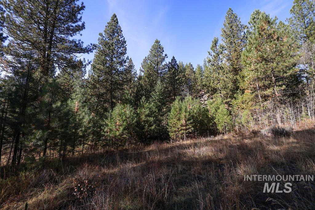 TBD Joshua Drive, Cascade, Idaho 83611, Land For Sale, Price $180,000,MLS 98981376