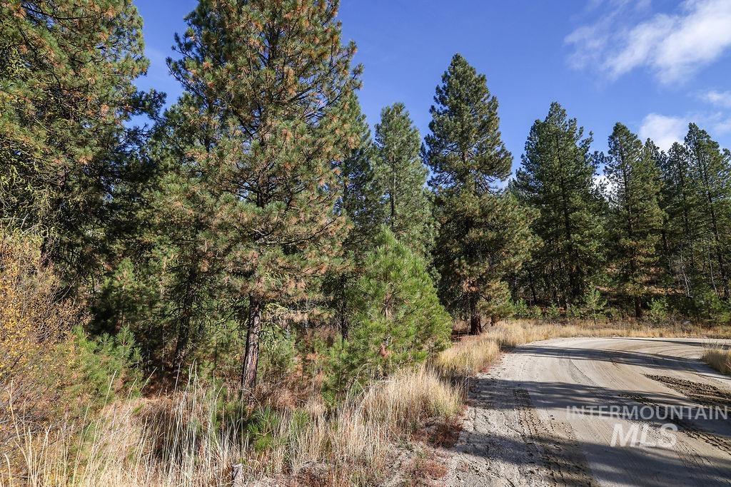TBD Joshua Drive, Cascade, Idaho 83611, Land For Sale, Price $180,000,MLS 98981376
